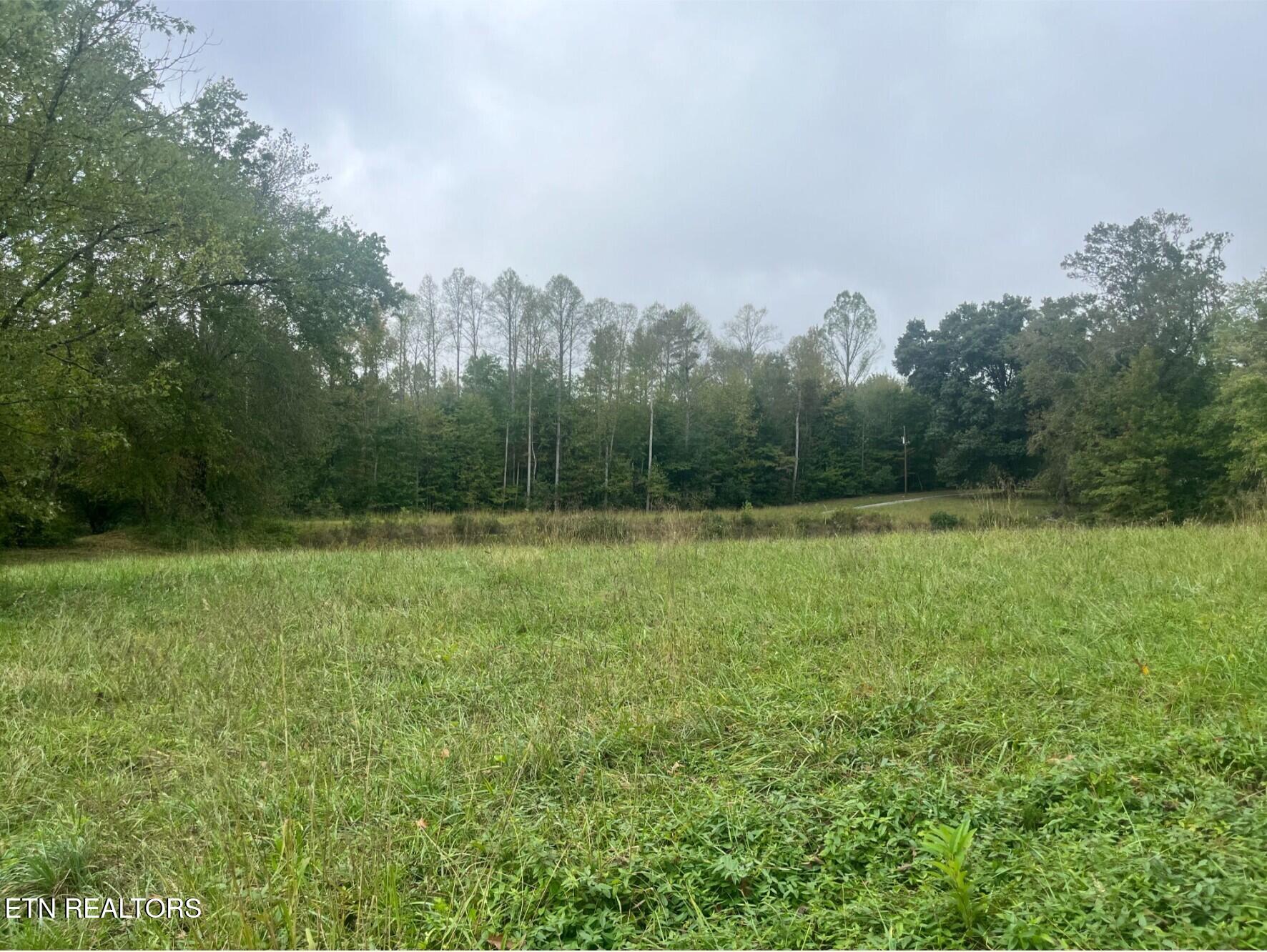 0 Dogwood Avenue Oneida TN 37841