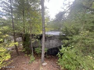 1955 Price Road Lenoir City TN 37771