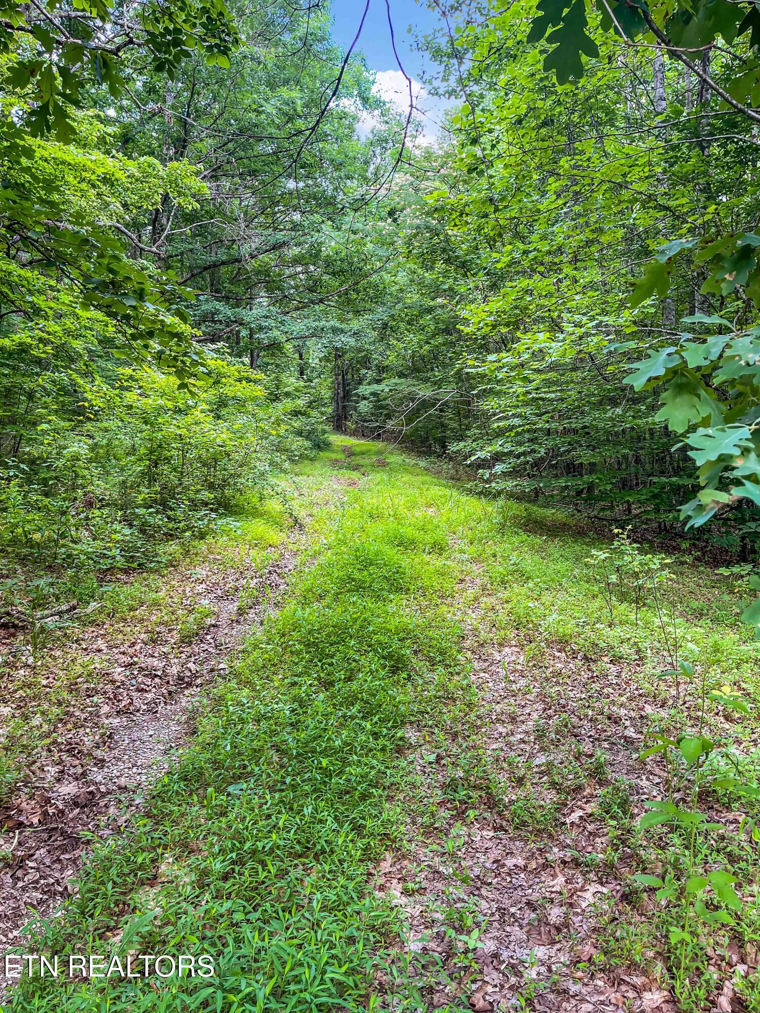 1955 Price Road Lenoir City TN 37771