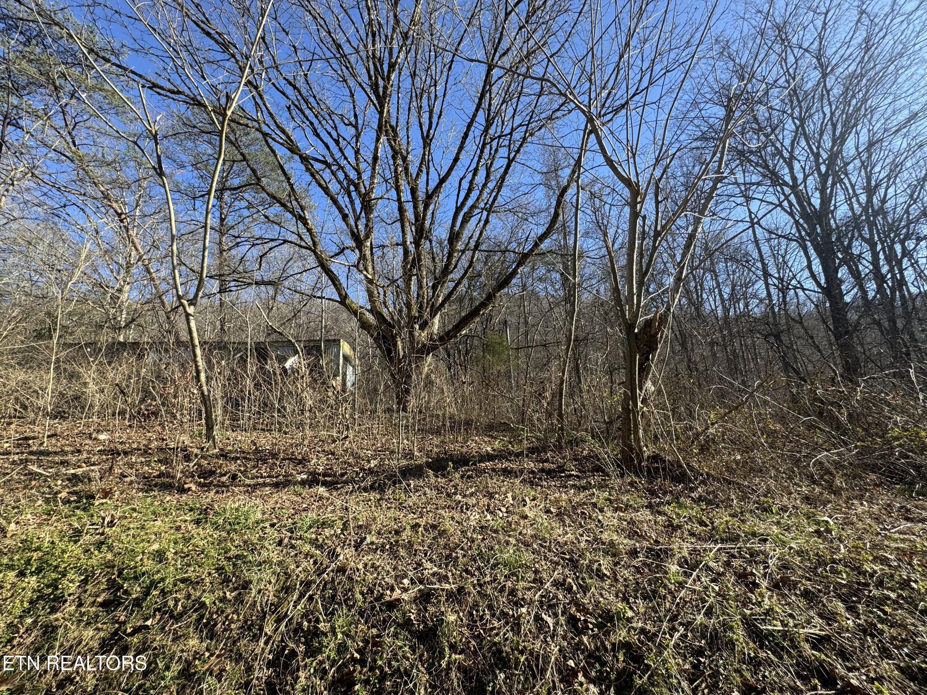 8.30 Acres Wolfenbarger Lane Luttrell TN 37779