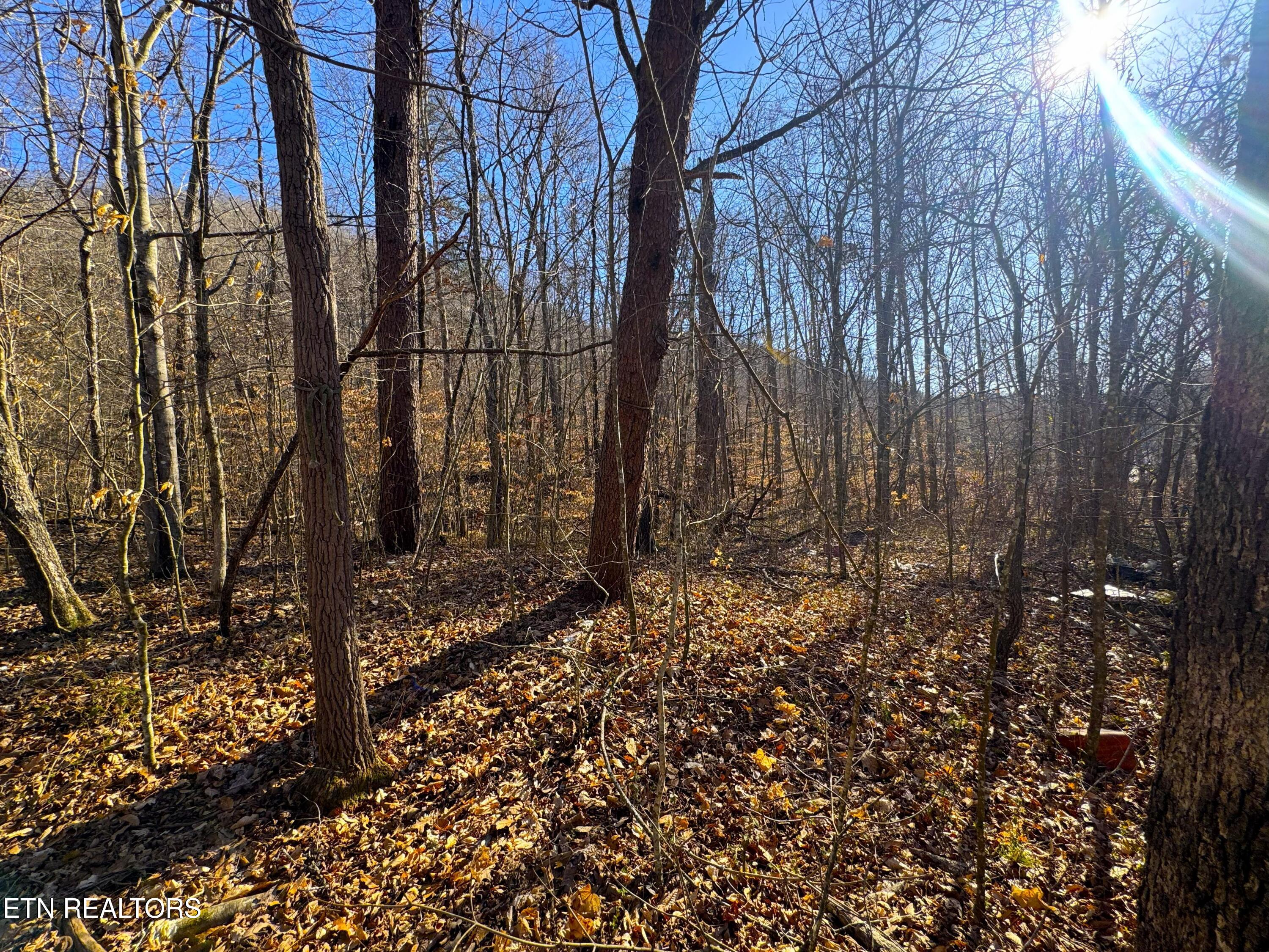 8.30 Acres Wolfenbarger Lane Luttrell TN 37779