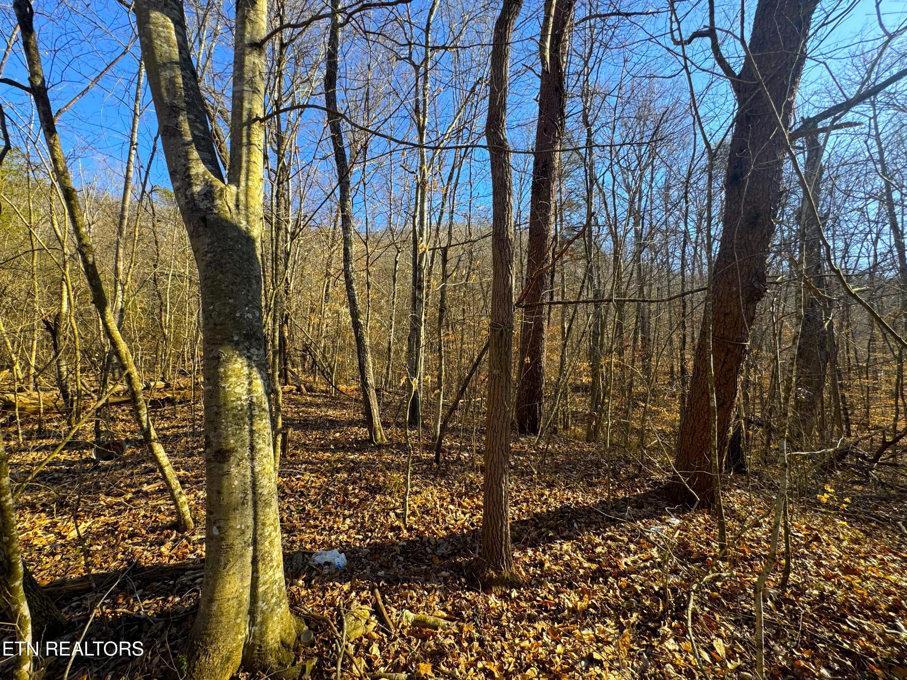 8.30 Acres Wolfenbarger Lane Luttrell TN 37779