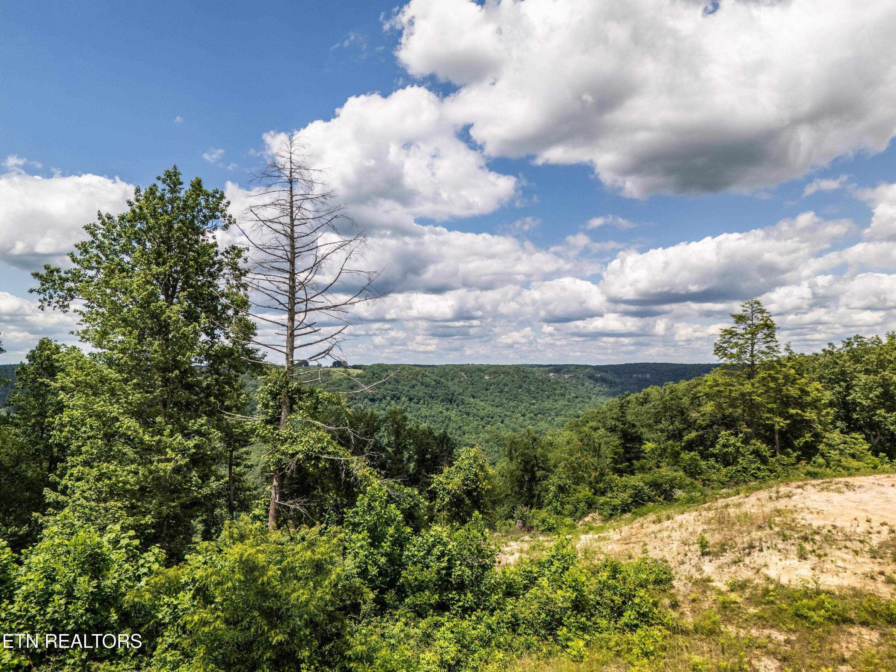 1.93AC Glenobey Road Jamestown TN 38556