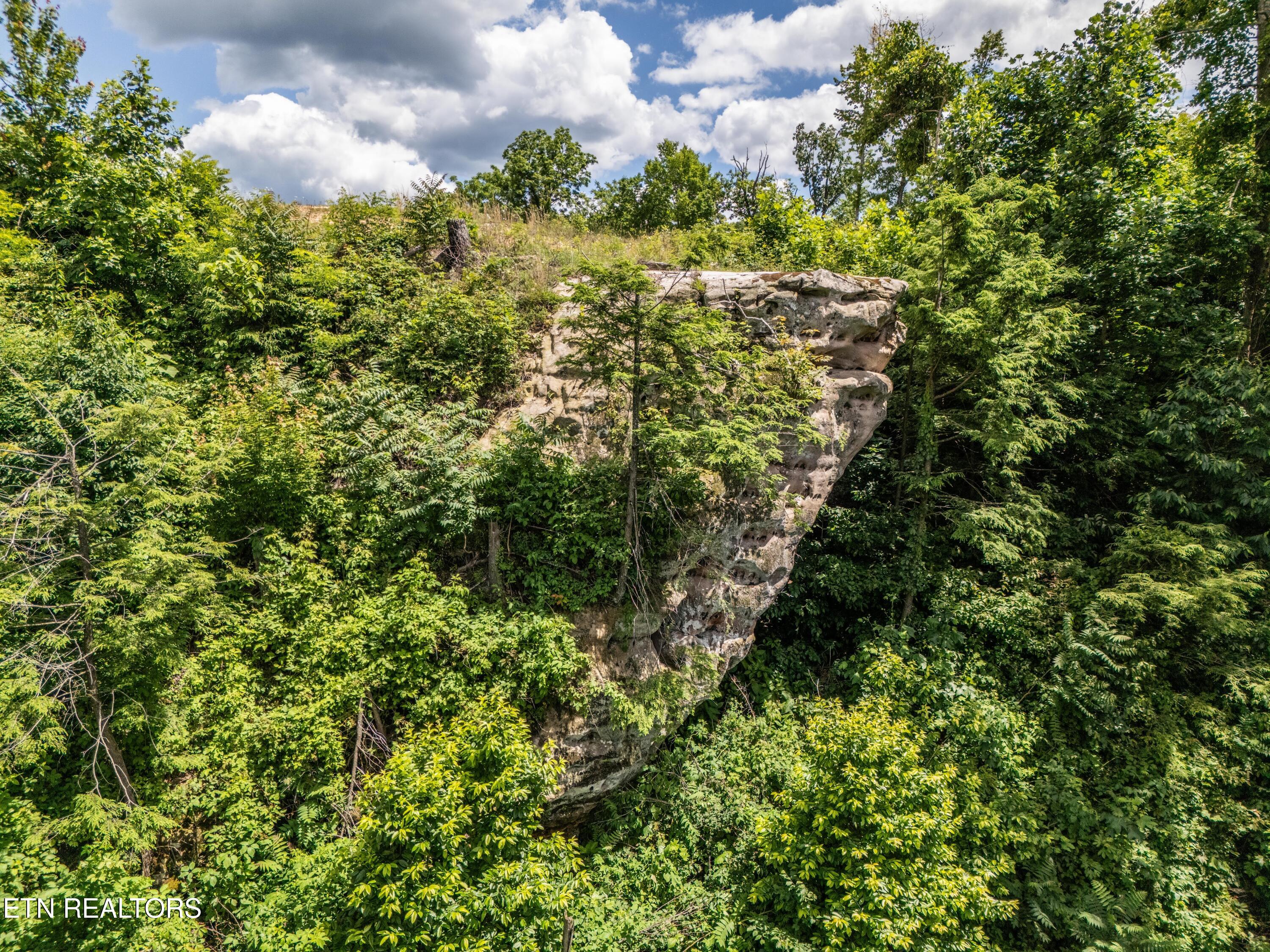1.93AC Glenobey Road Jamestown TN 38556