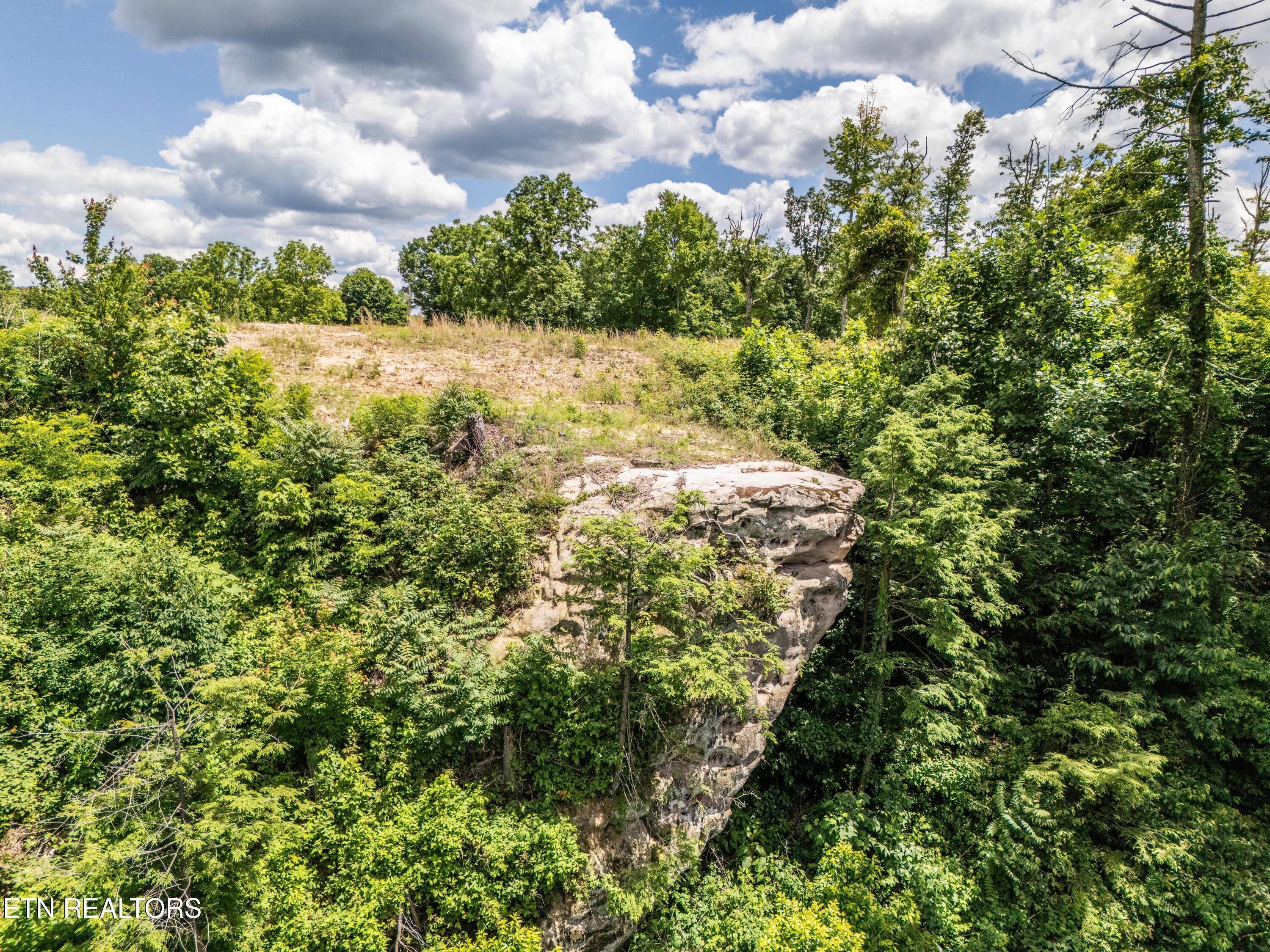1.93AC Glenobey Road Jamestown TN 38556