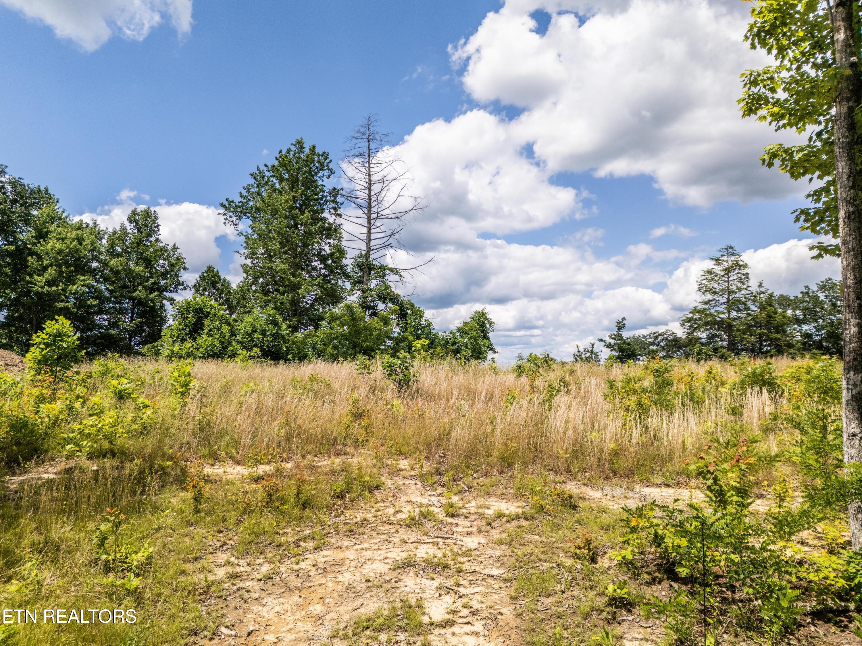 1.93AC Glenobey Road Jamestown TN 38556
