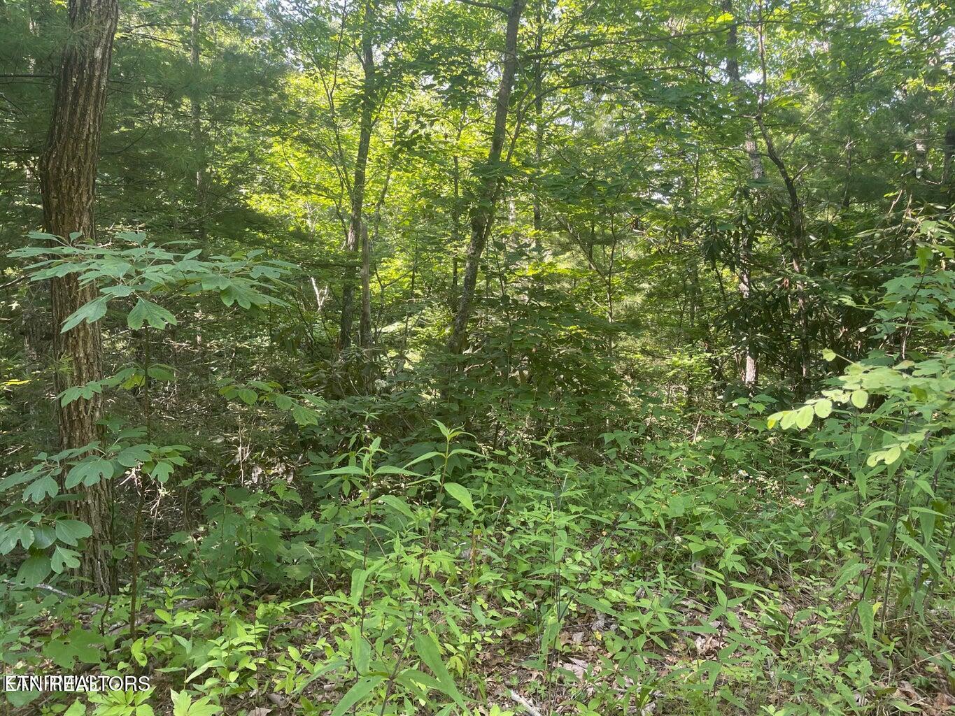 Lot 89 Sycamore Street Sevierville TN 37876