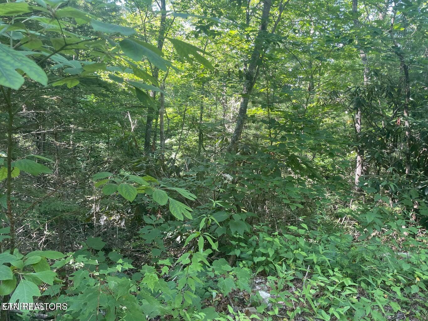 Lot 89 Sycamore Street Sevierville TN 37876