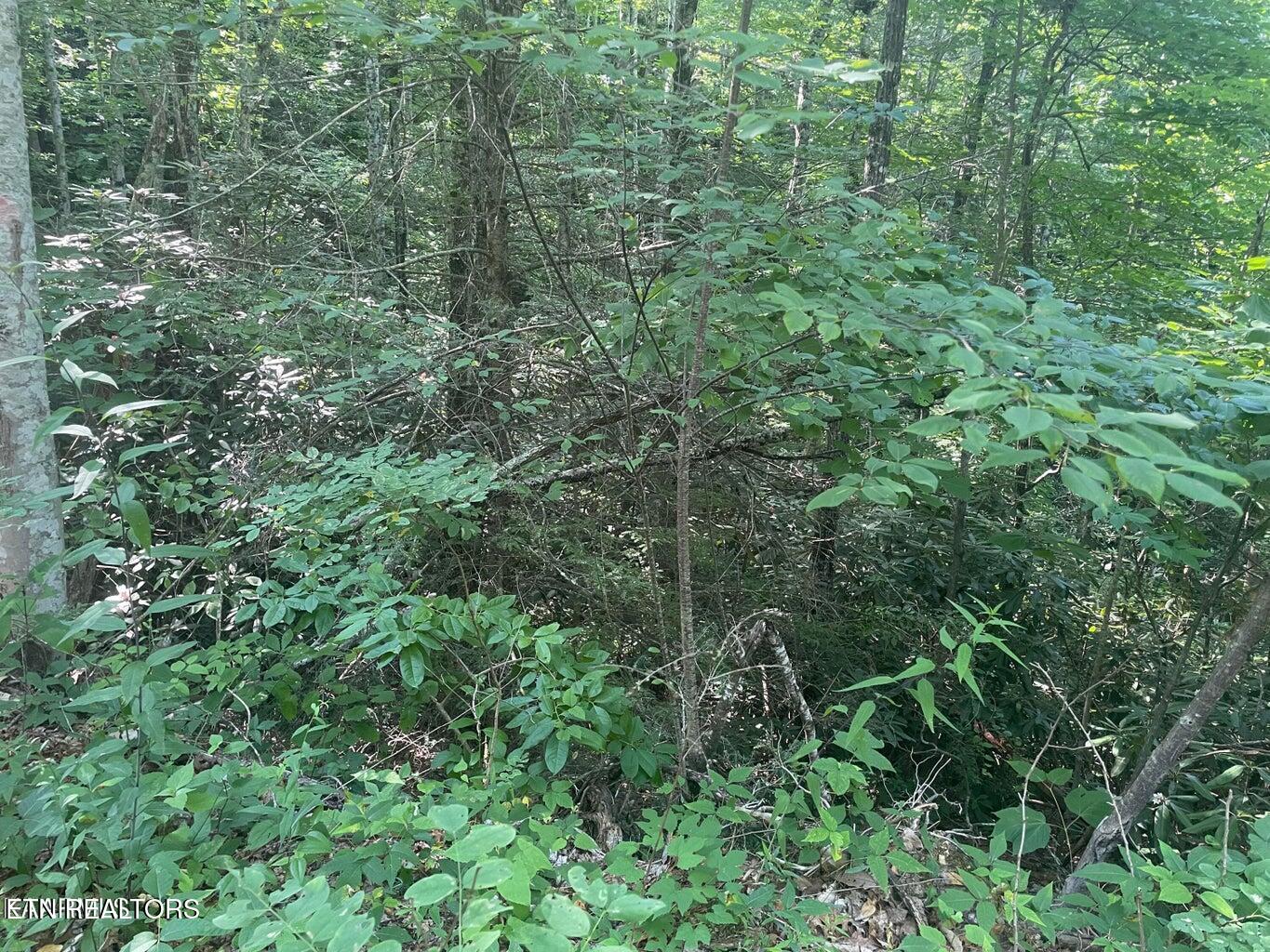 Lot 89 Sycamore Street Sevierville TN 37876