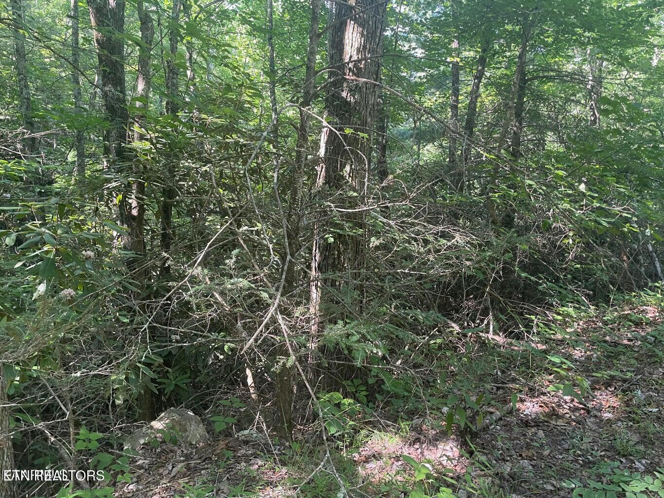 Lot 89 Sycamore Street Sevierville TN 37876
