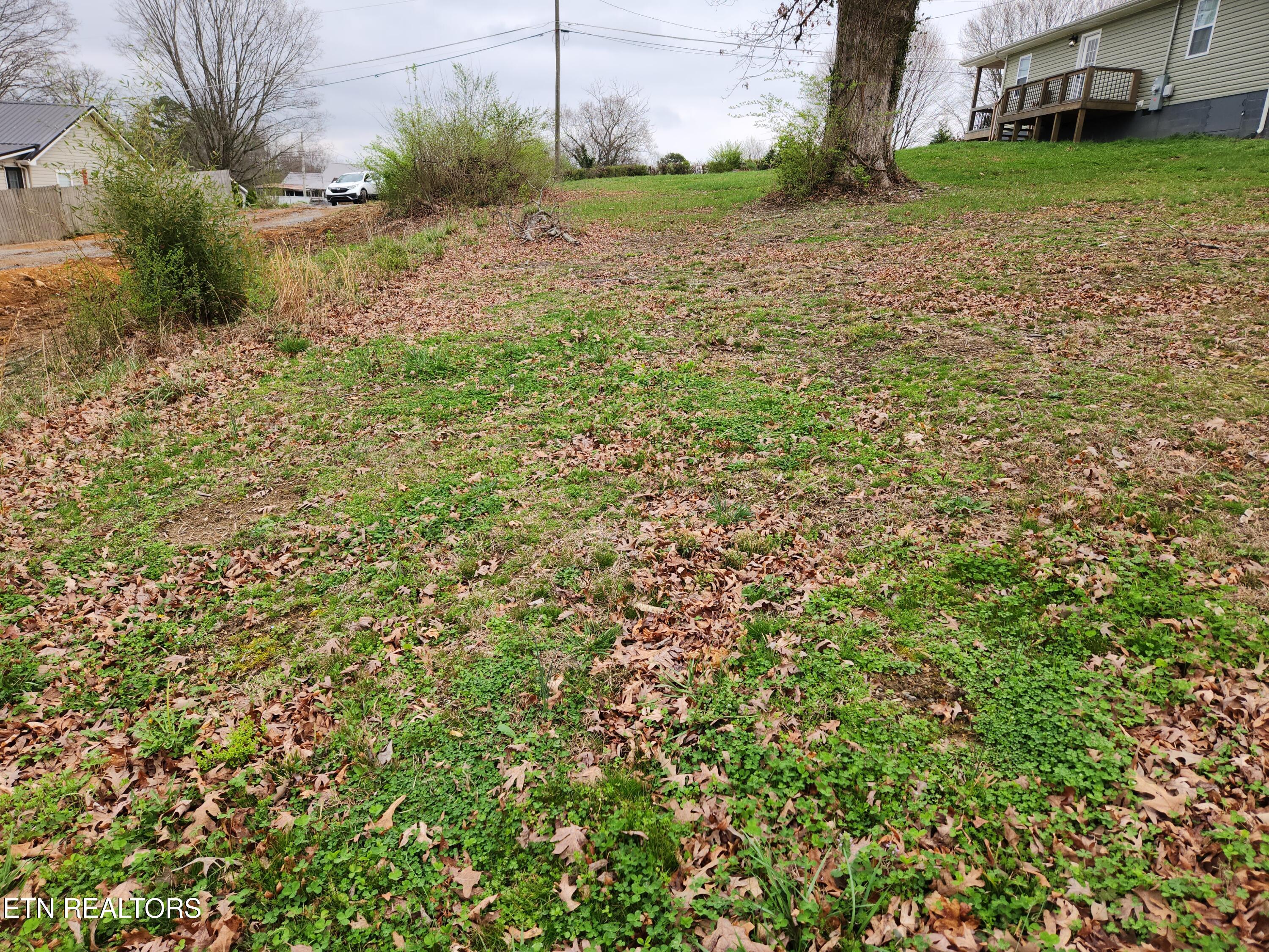 000 Lynman Street Athens TN 37303