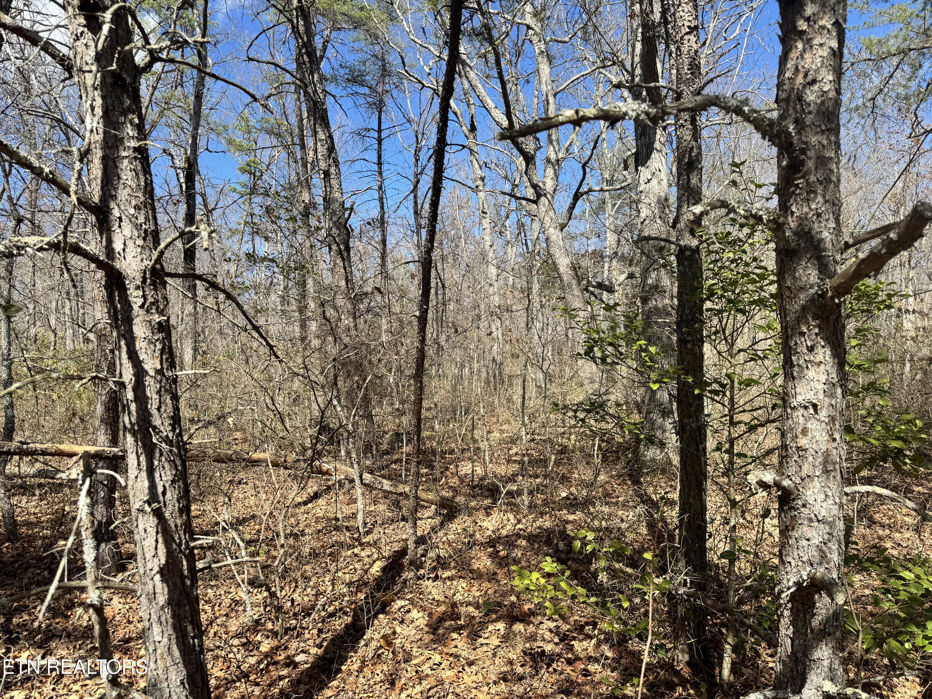 Divide Trail Monterey TN 38574