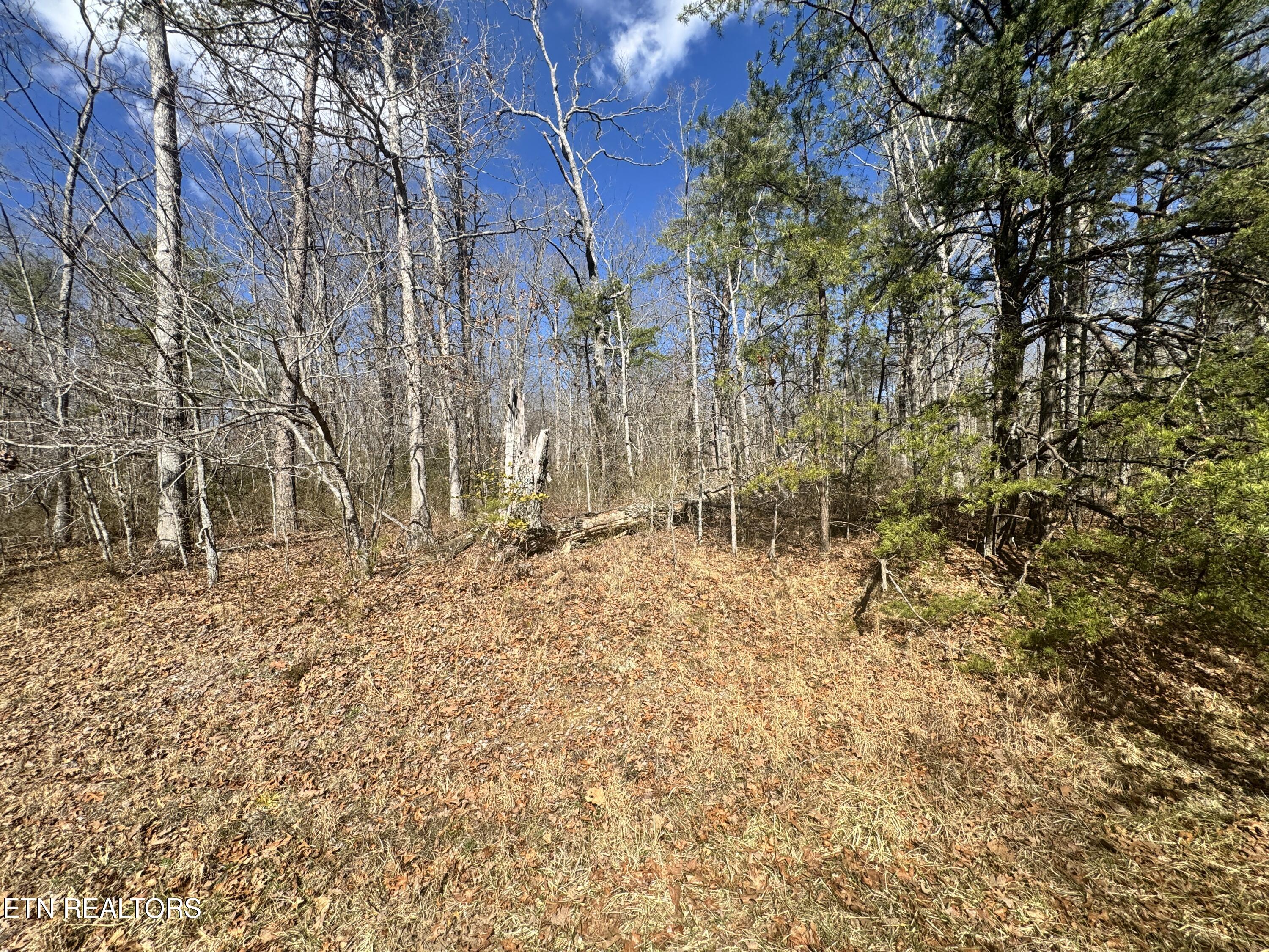 Divide Trail Monterey TN 38574