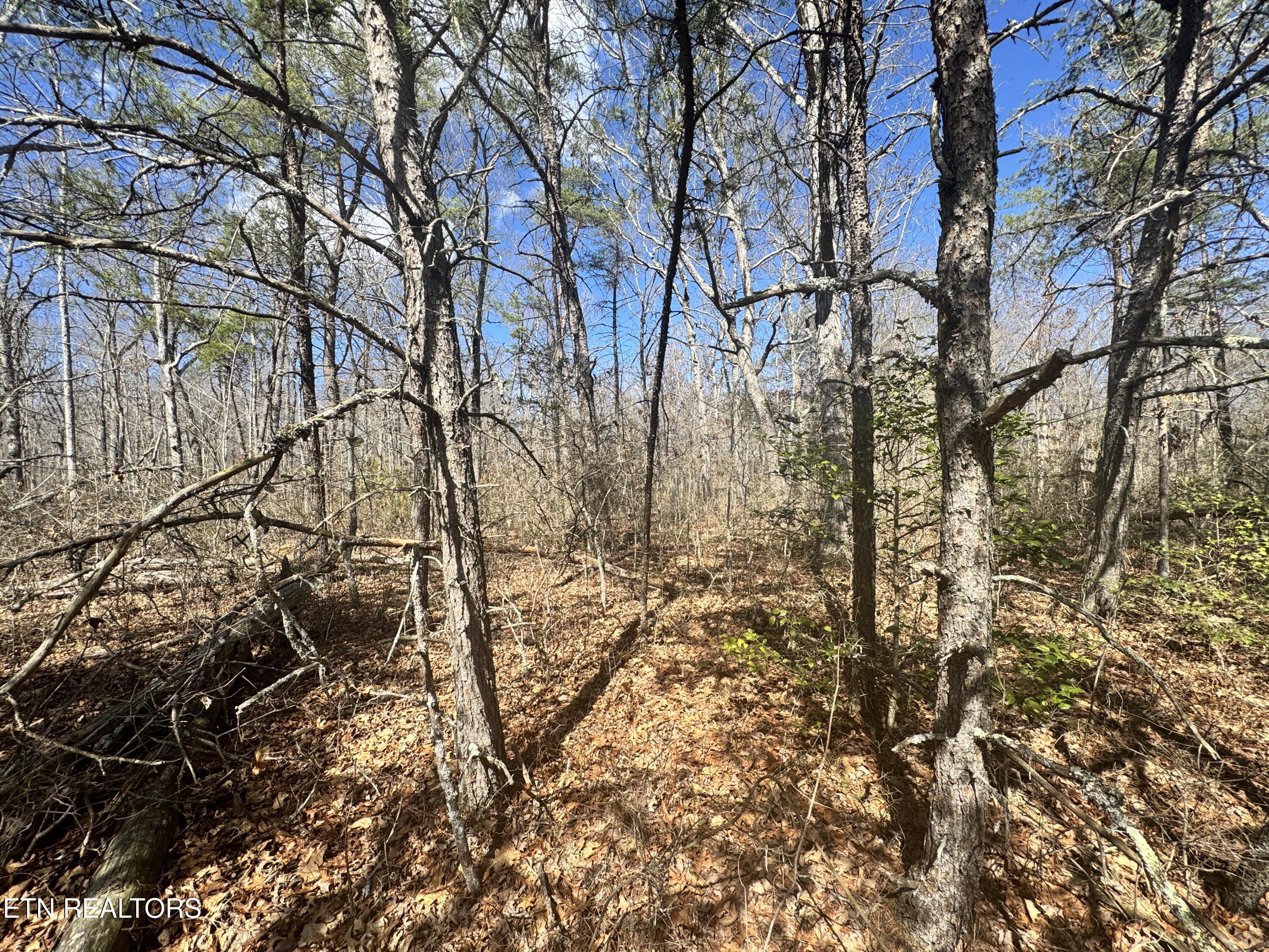 Divide Trail Monterey TN 38574
