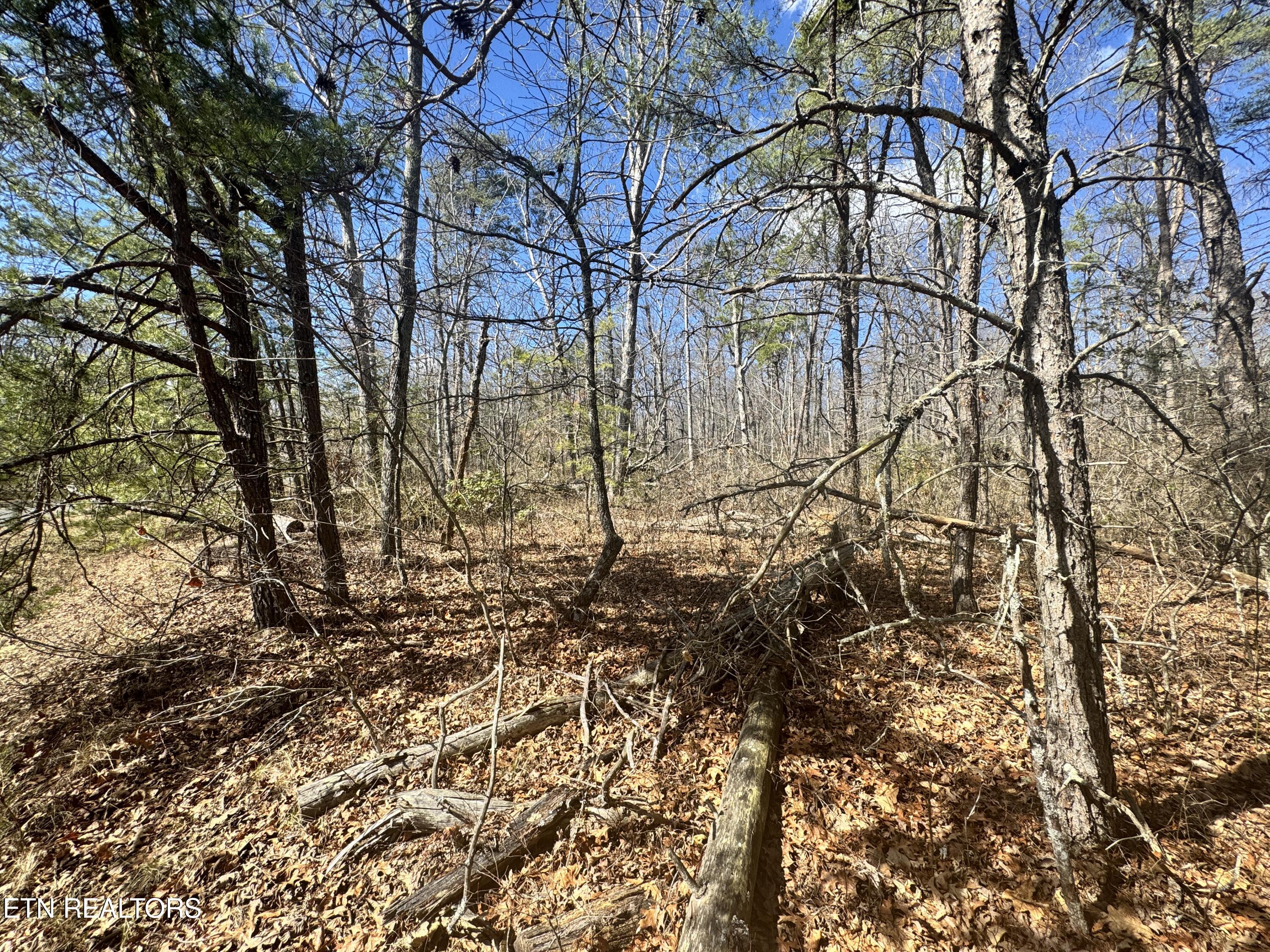 Divide Trail Monterey TN 38574