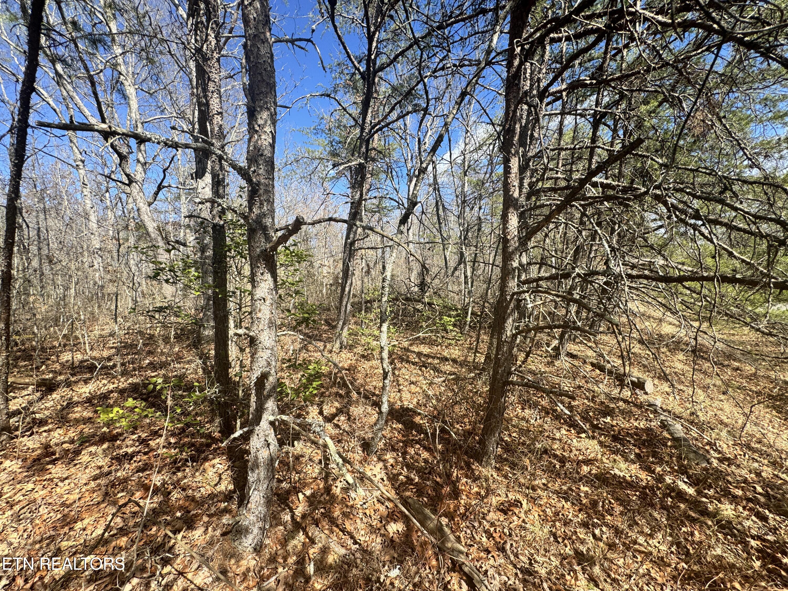 Divide Trail Monterey TN 38574