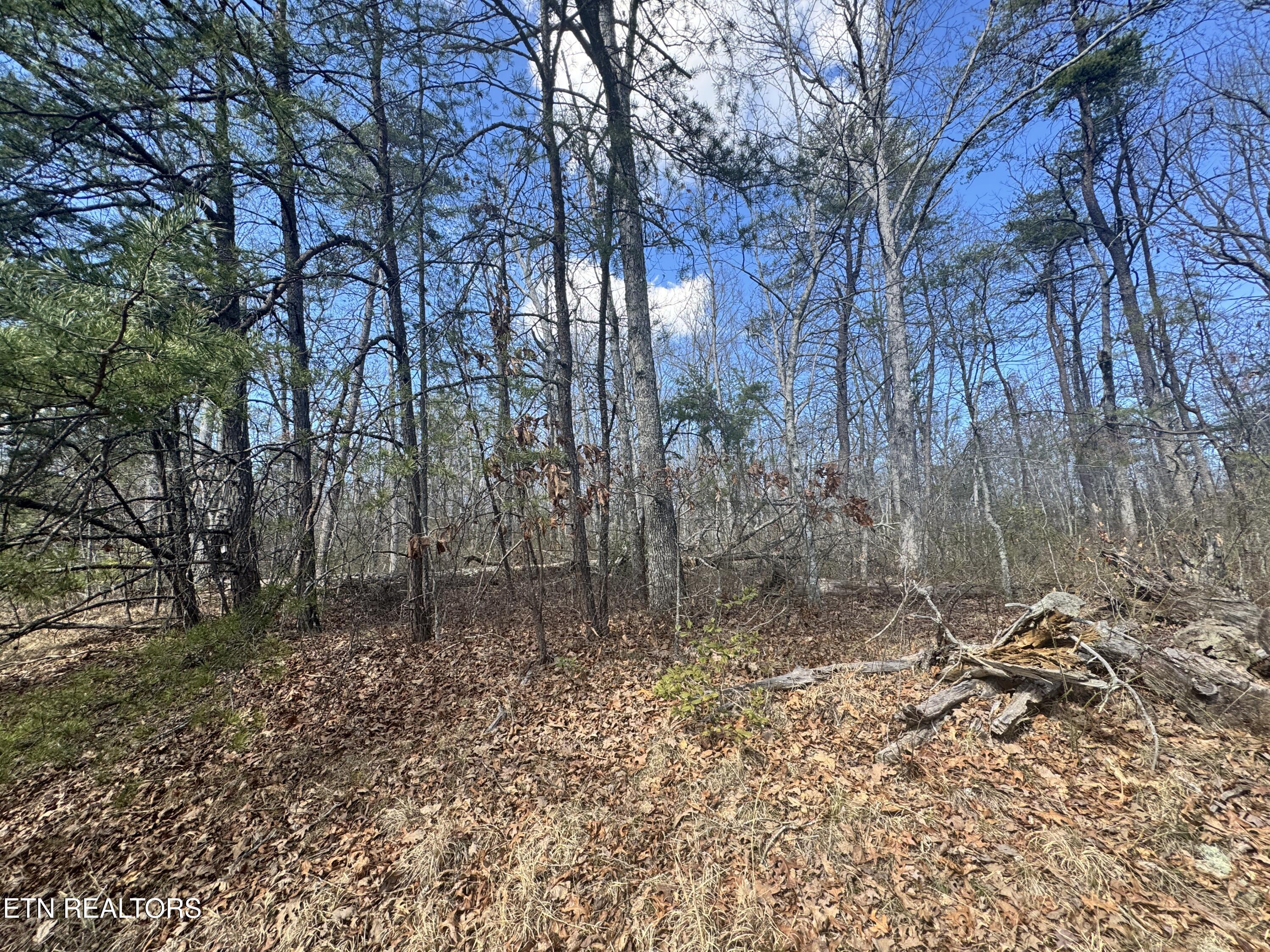 Divide Trail Monterey TN 38574