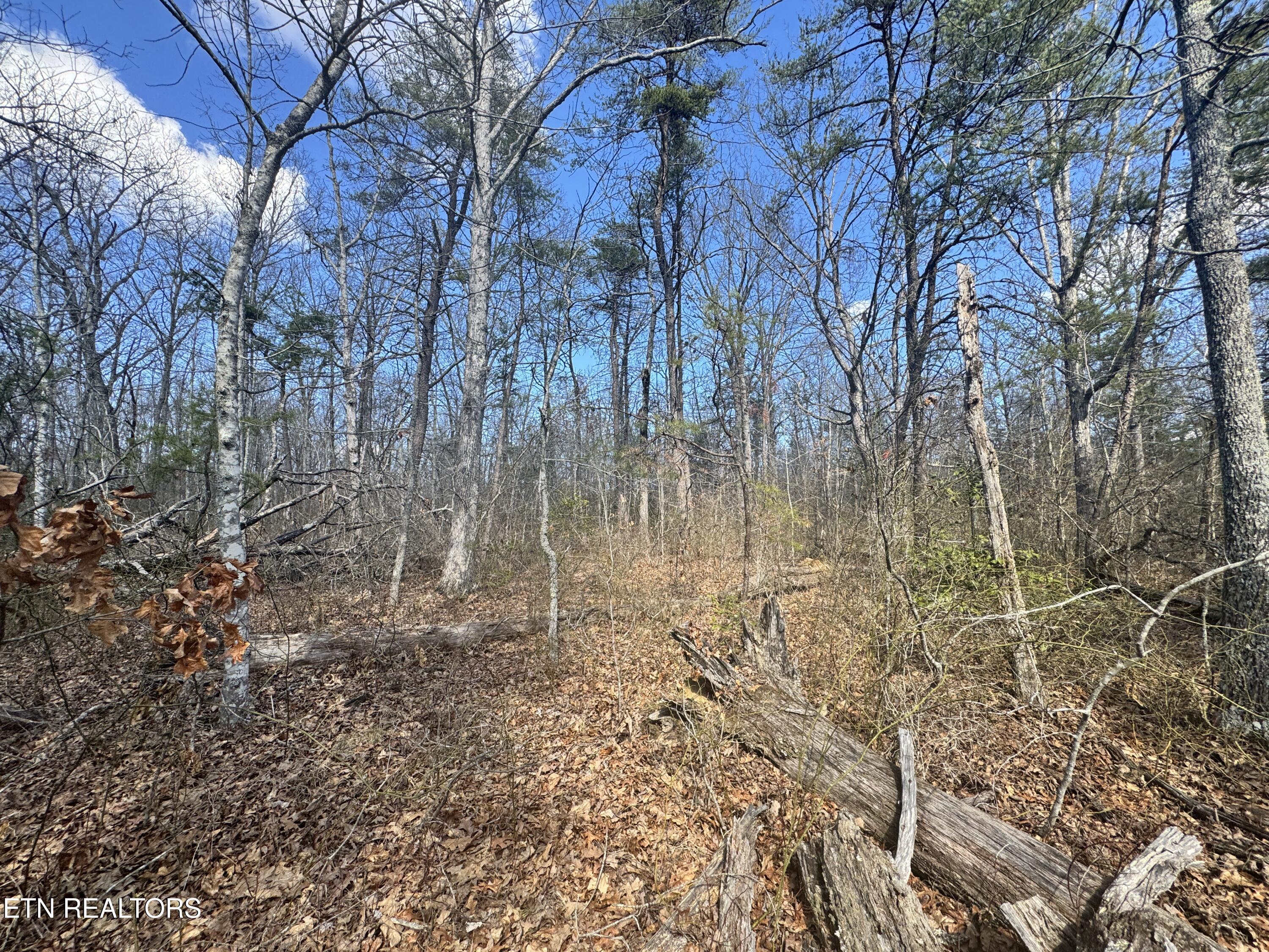 Divide Trail Monterey TN 38574