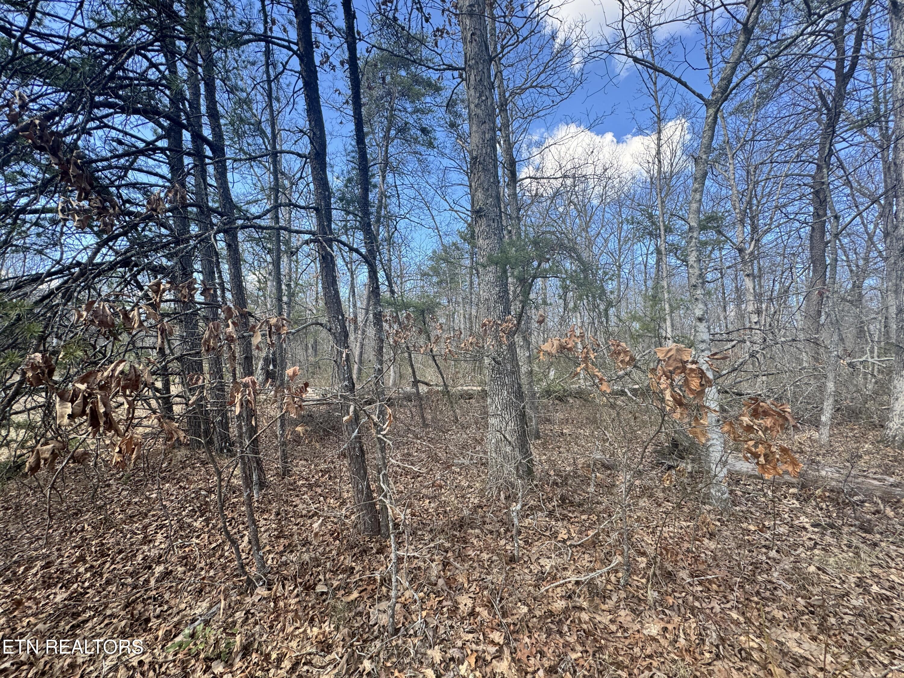 Divide Trail Monterey TN 38574
