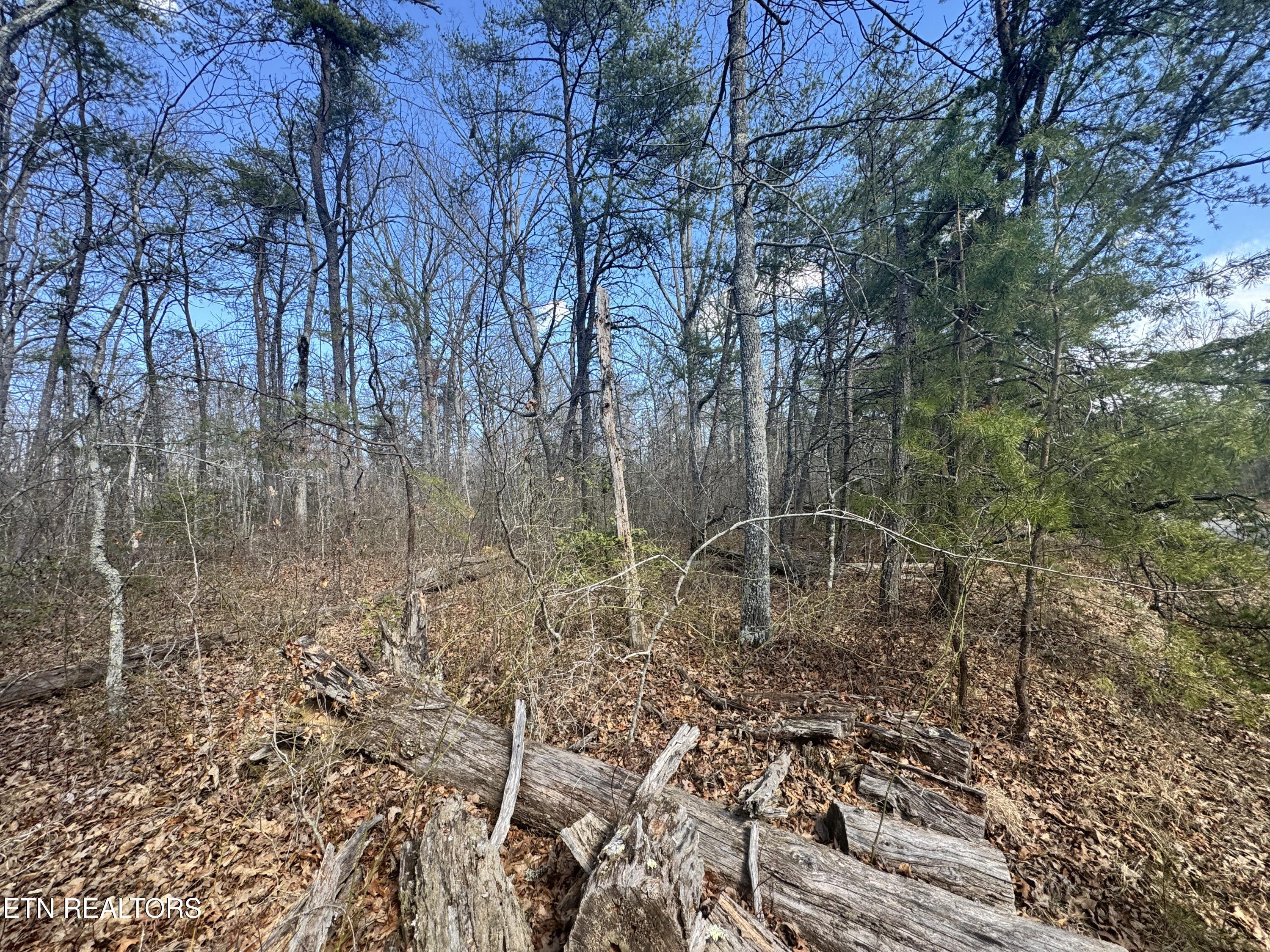 Divide Trail Monterey TN 38574
