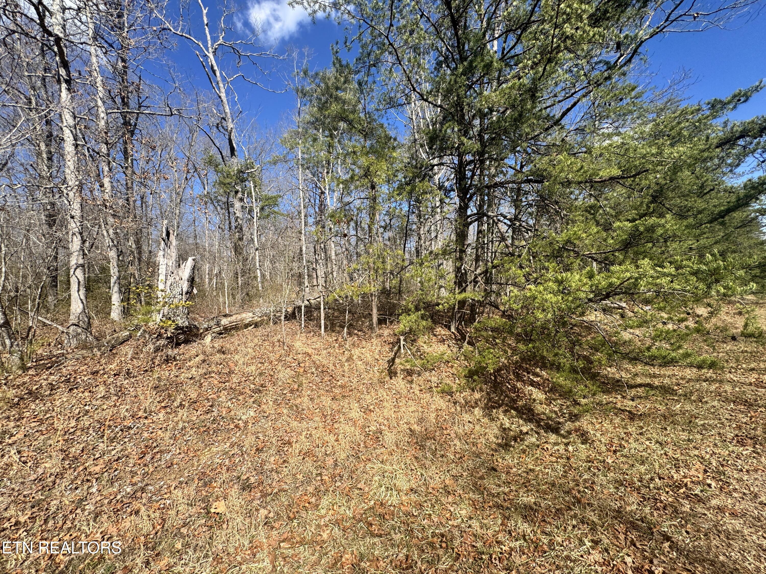 Divide Trail Monterey TN 38574