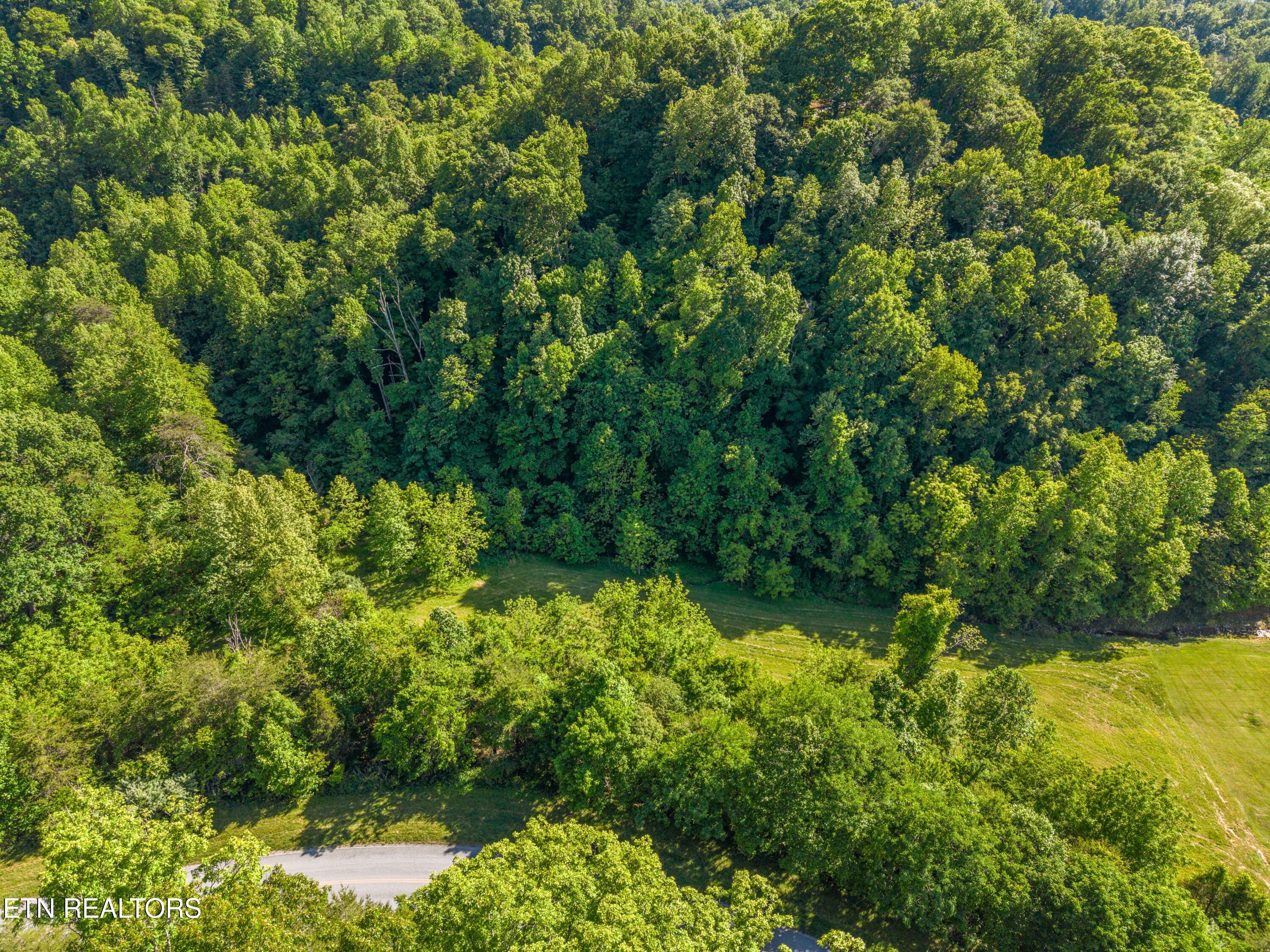 Lot 487 Magnolia Lane Sharps Chapel TN 37866