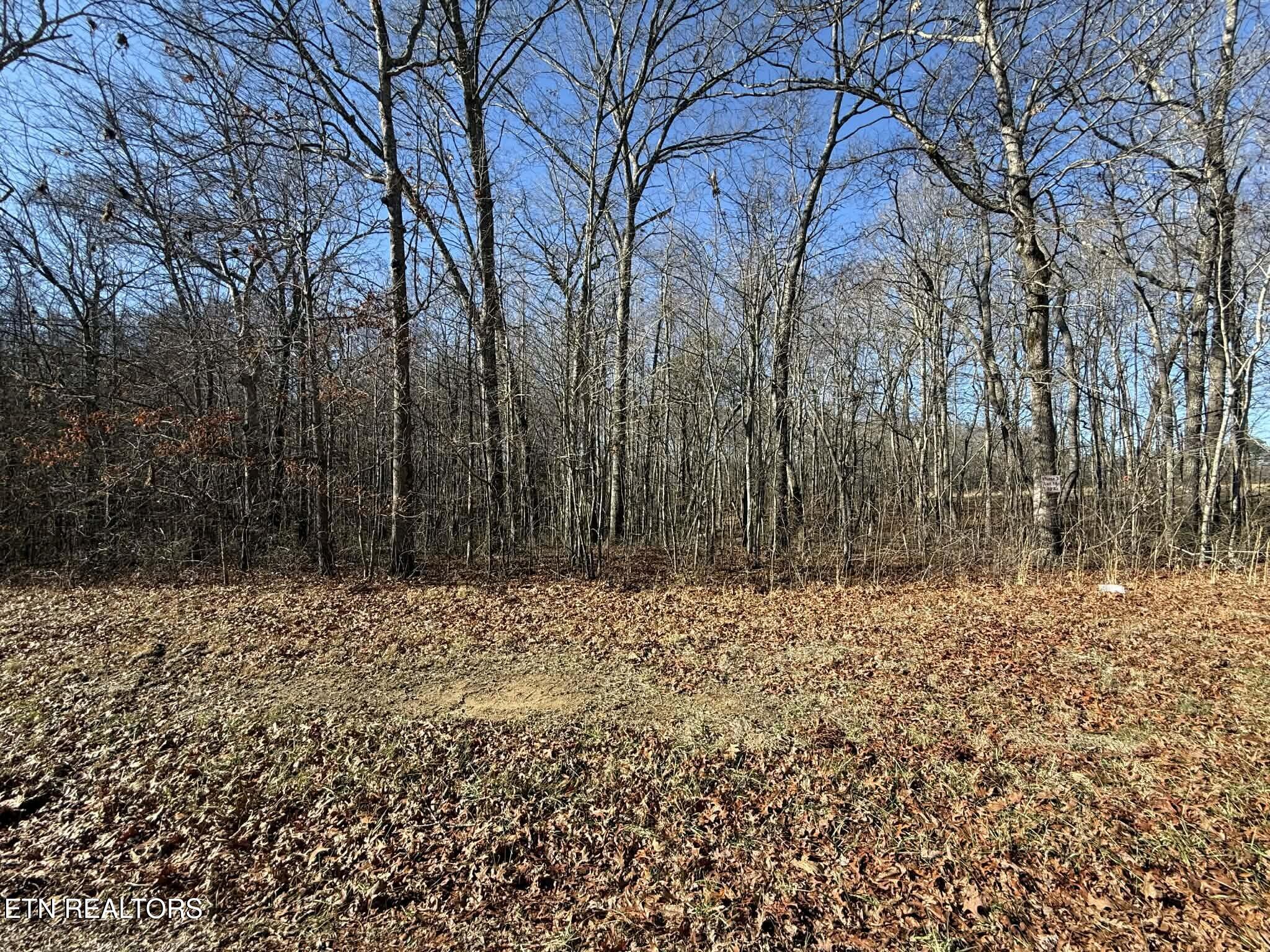 Georgee Road, Lot 14 Jamestown TN 38556