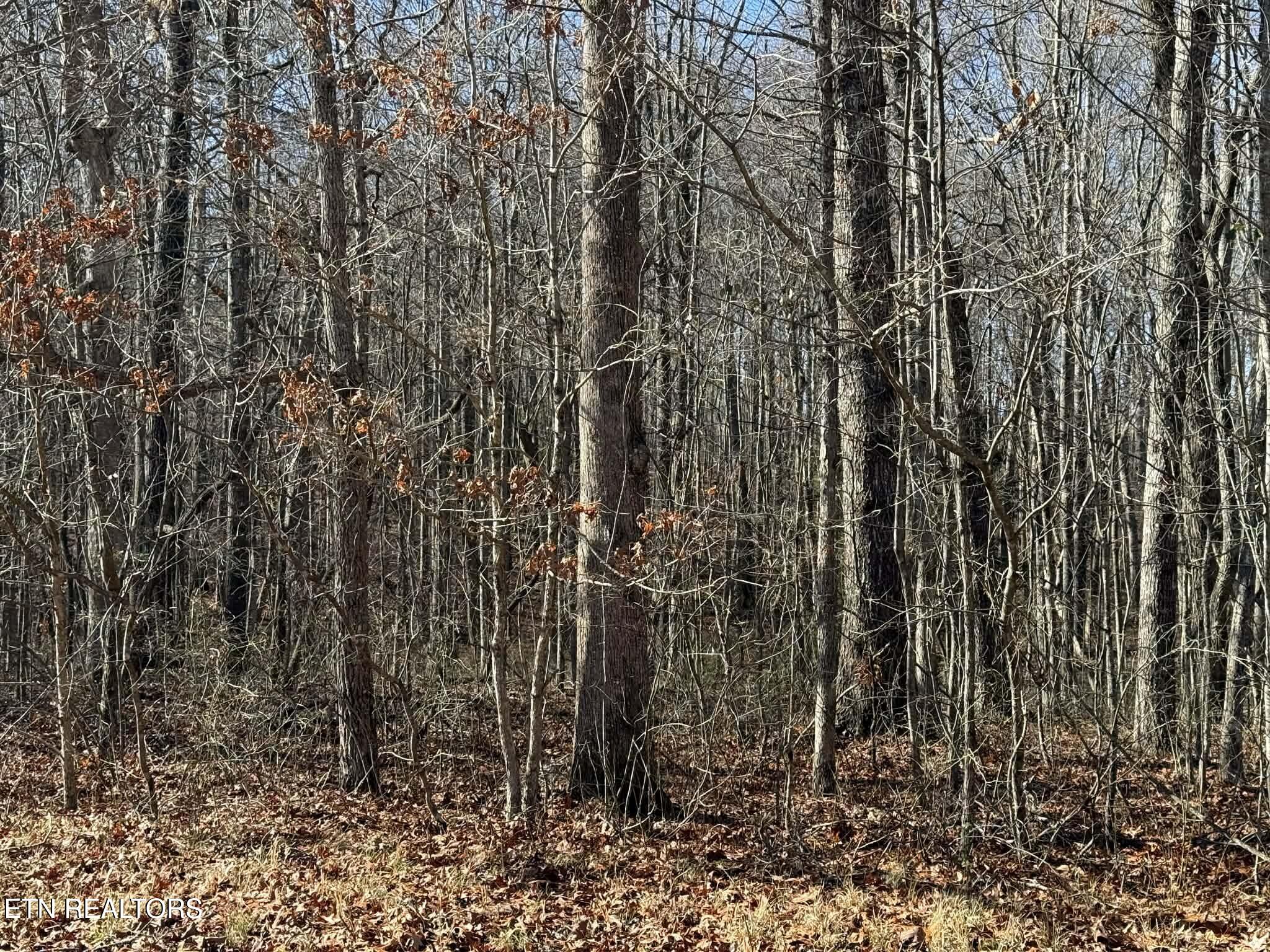 Georgee Road, Lot 14 Jamestown TN 38556