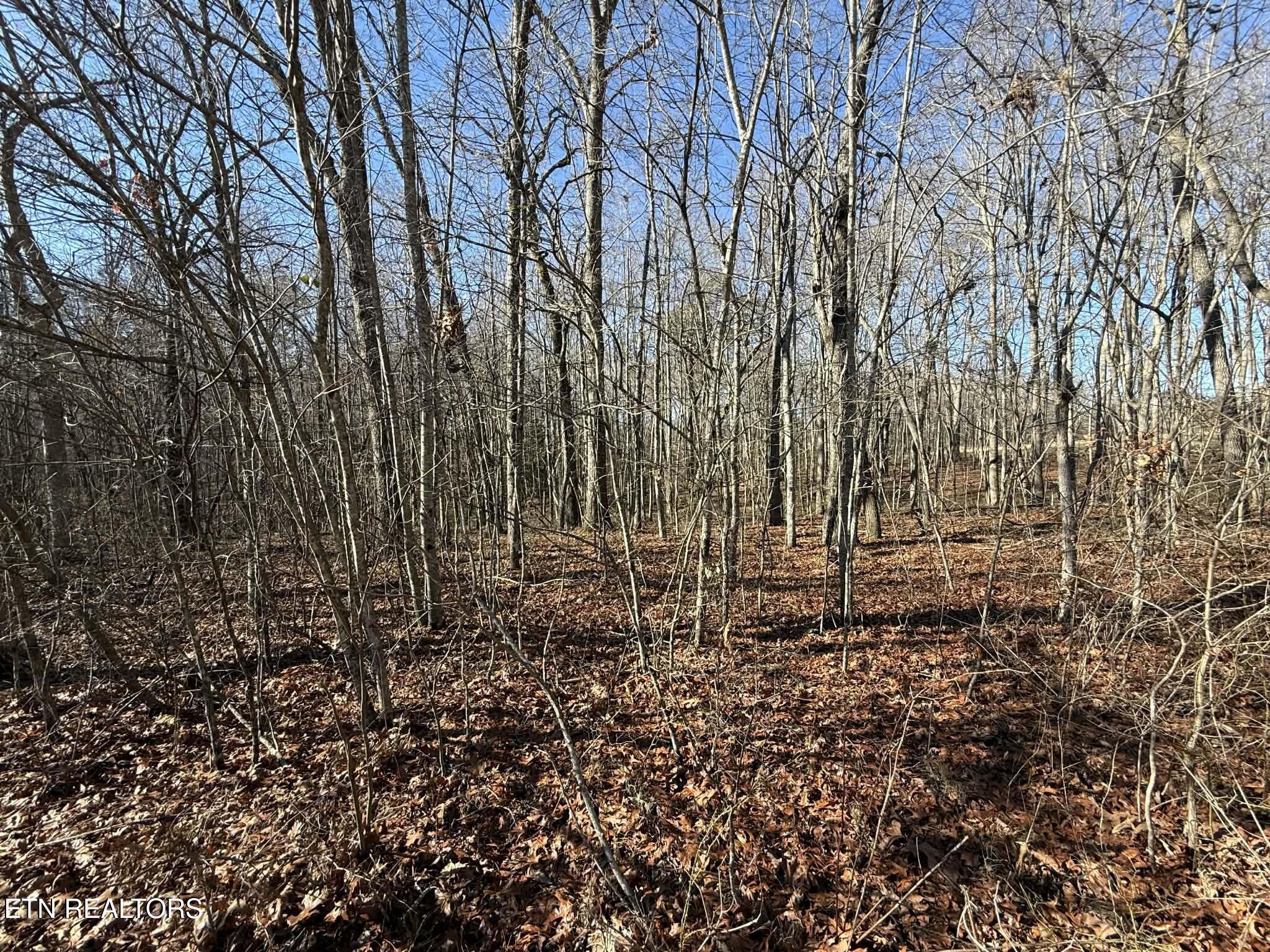 Georgee Road, Lot 14 Jamestown TN 38556