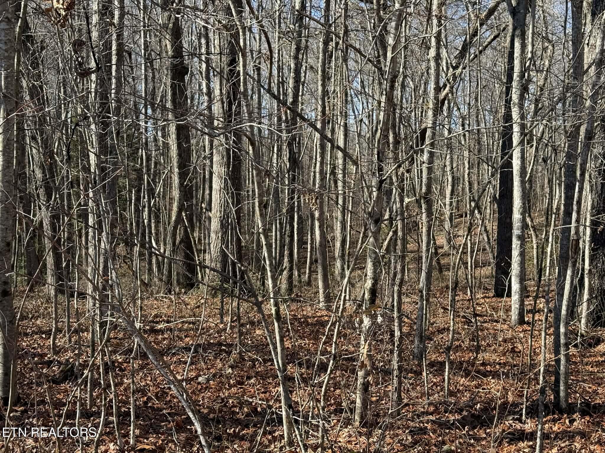 Georgee Road, Lot 14 Jamestown TN 38556