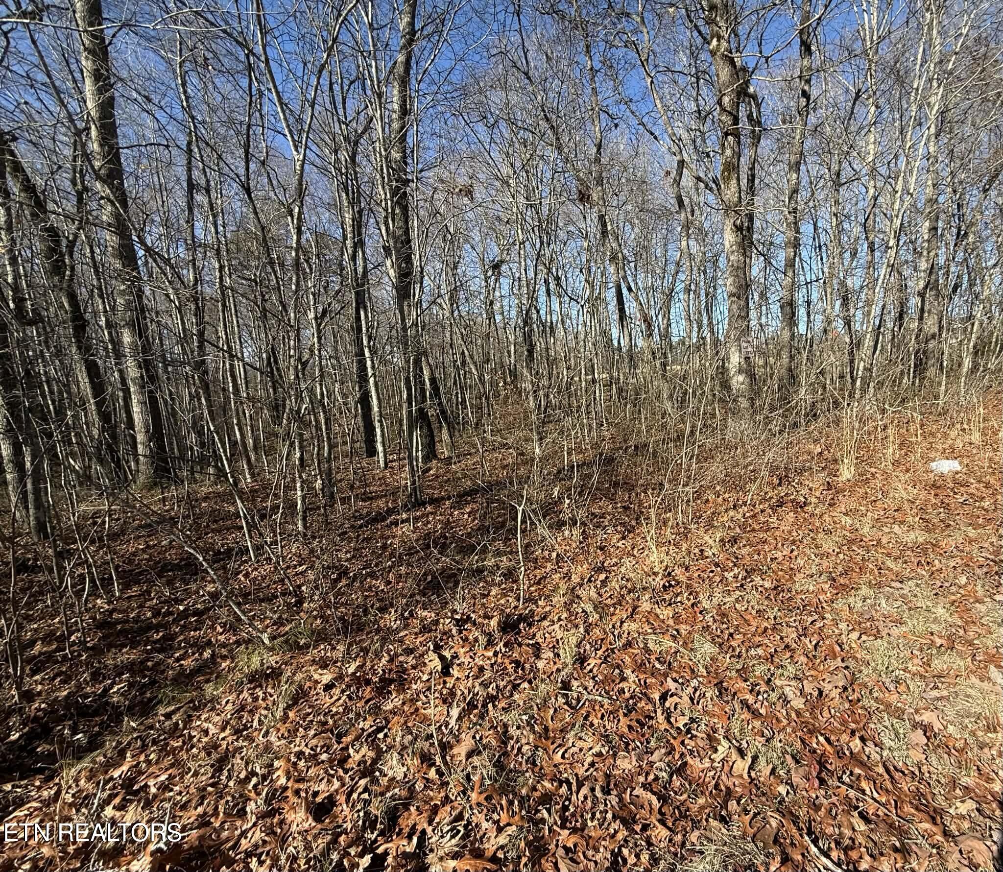 Georgee Road, Lot 14 Jamestown TN 38556
