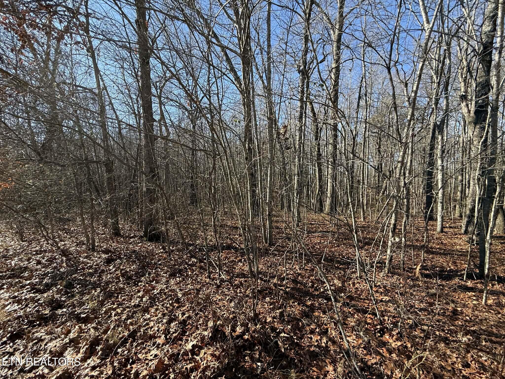 Georgee Road, Lot 14 Jamestown TN 38556