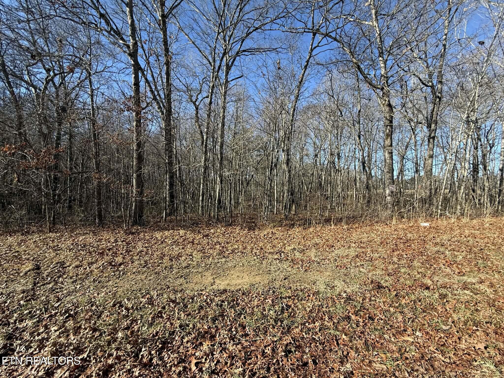 Georgee Road, Lot 14 Jamestown TN 38556