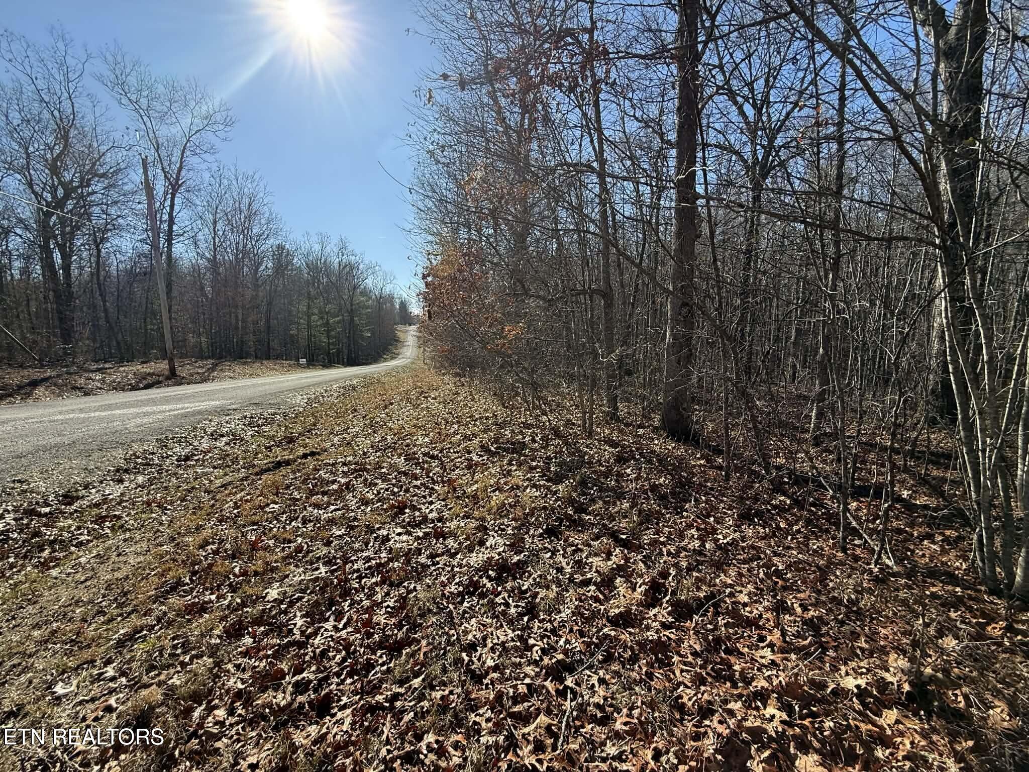 Georgee Road, Lot 14 Jamestown TN 38556
