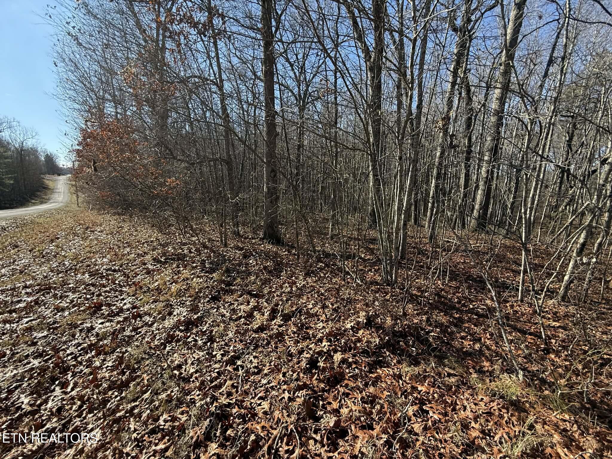 Georgee Road, Lot 14 Jamestown TN 38556