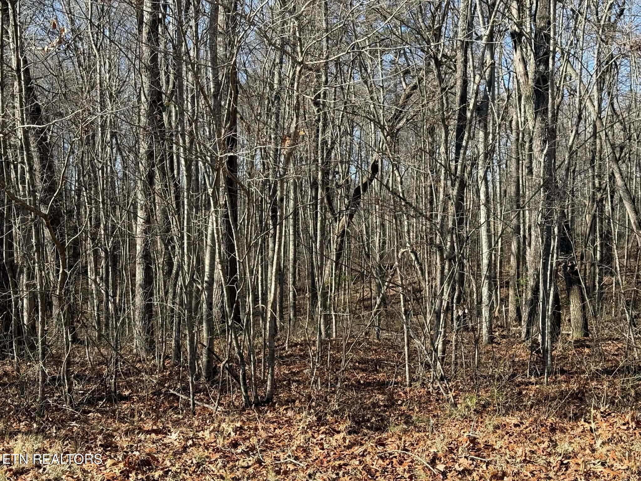 Georgee Road, Lot 14 Jamestown TN 38556
