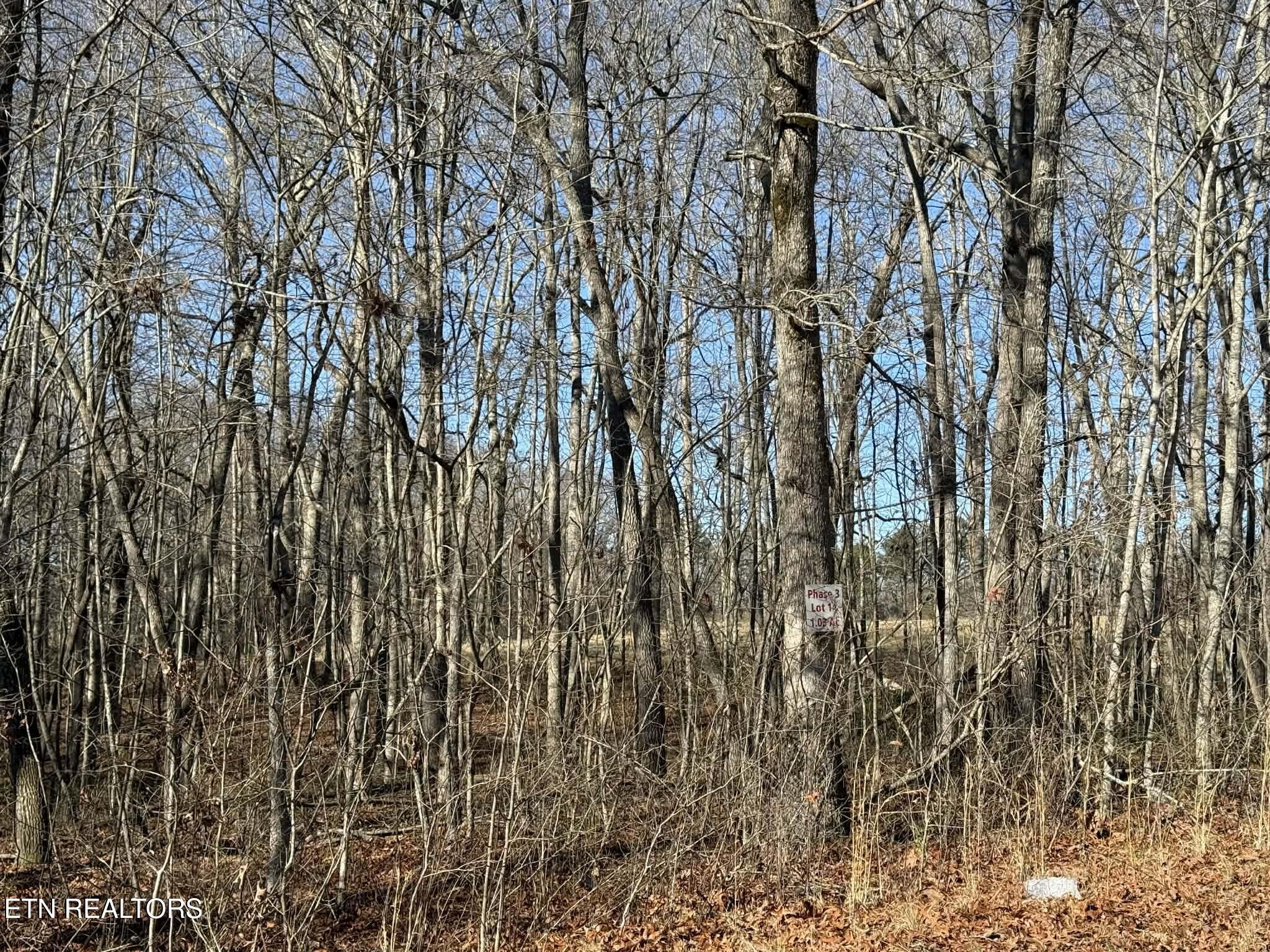 Georgee Road, Lot 14 Jamestown TN 38556