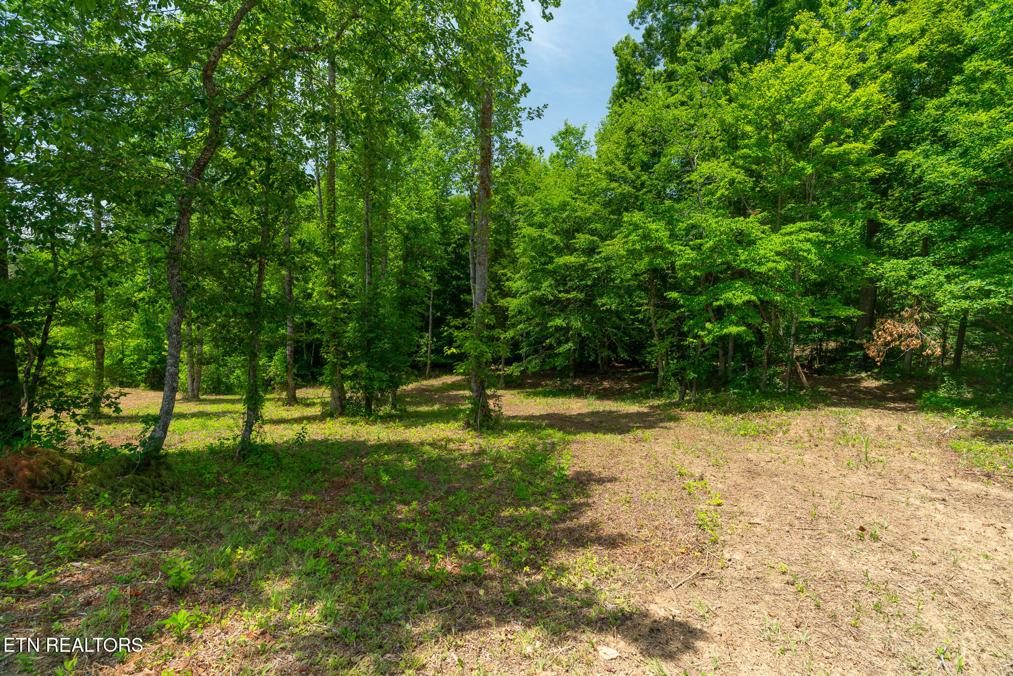 0 Mccammon Road Knoxville TN 37920