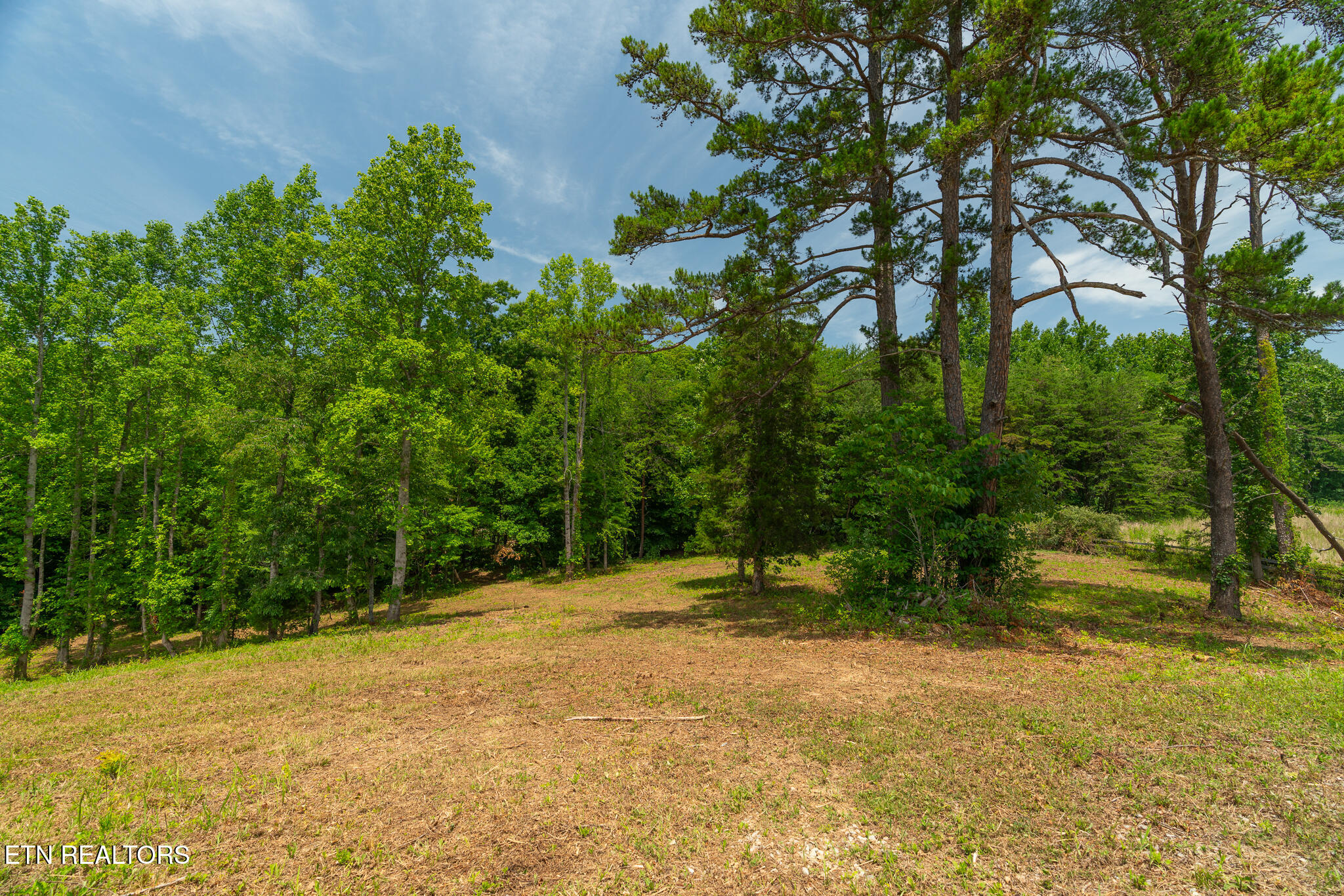 1331 Mccammon Road Knoxville TN 37920