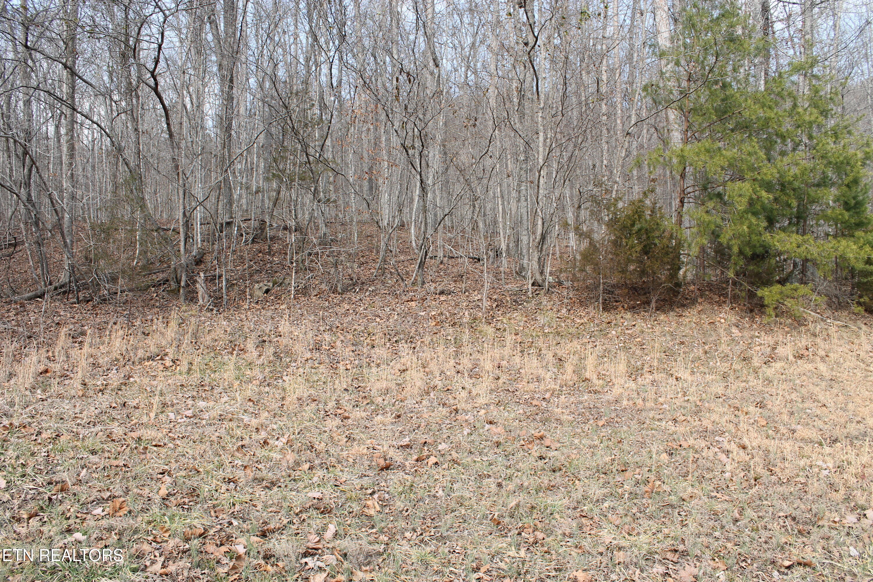 Cheynne Drive Jamestown TN 38556