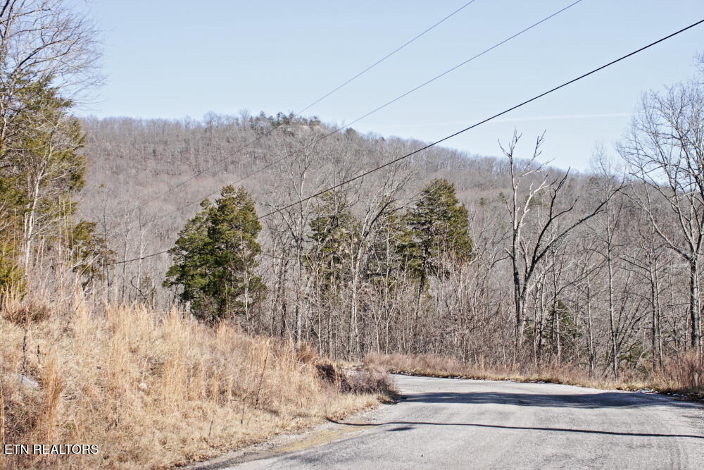 Cheynne Drive Jamestown TN 38556