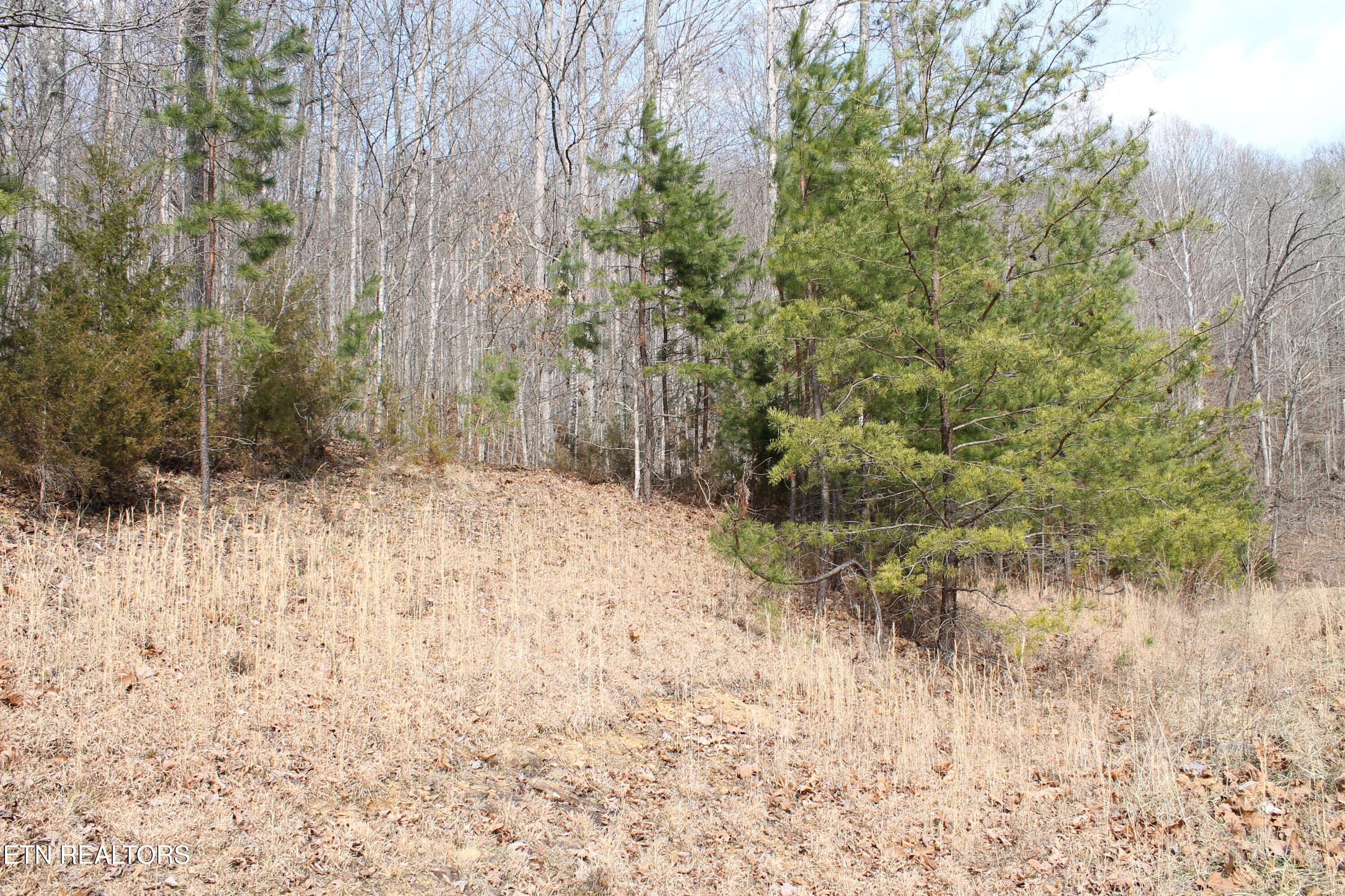 Cheynne Drive Jamestown TN 38556