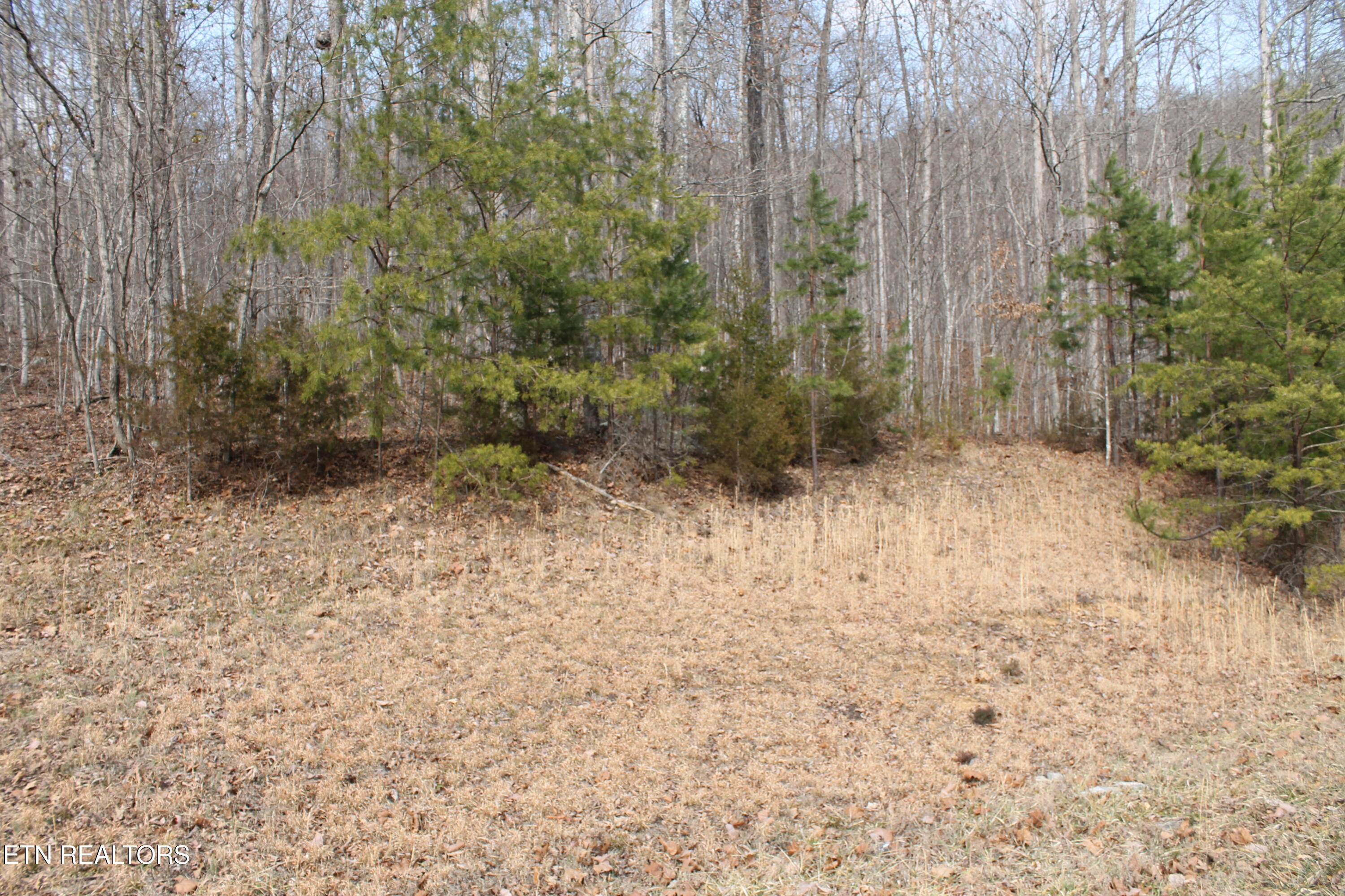 Cheynne Drive Jamestown TN 38556