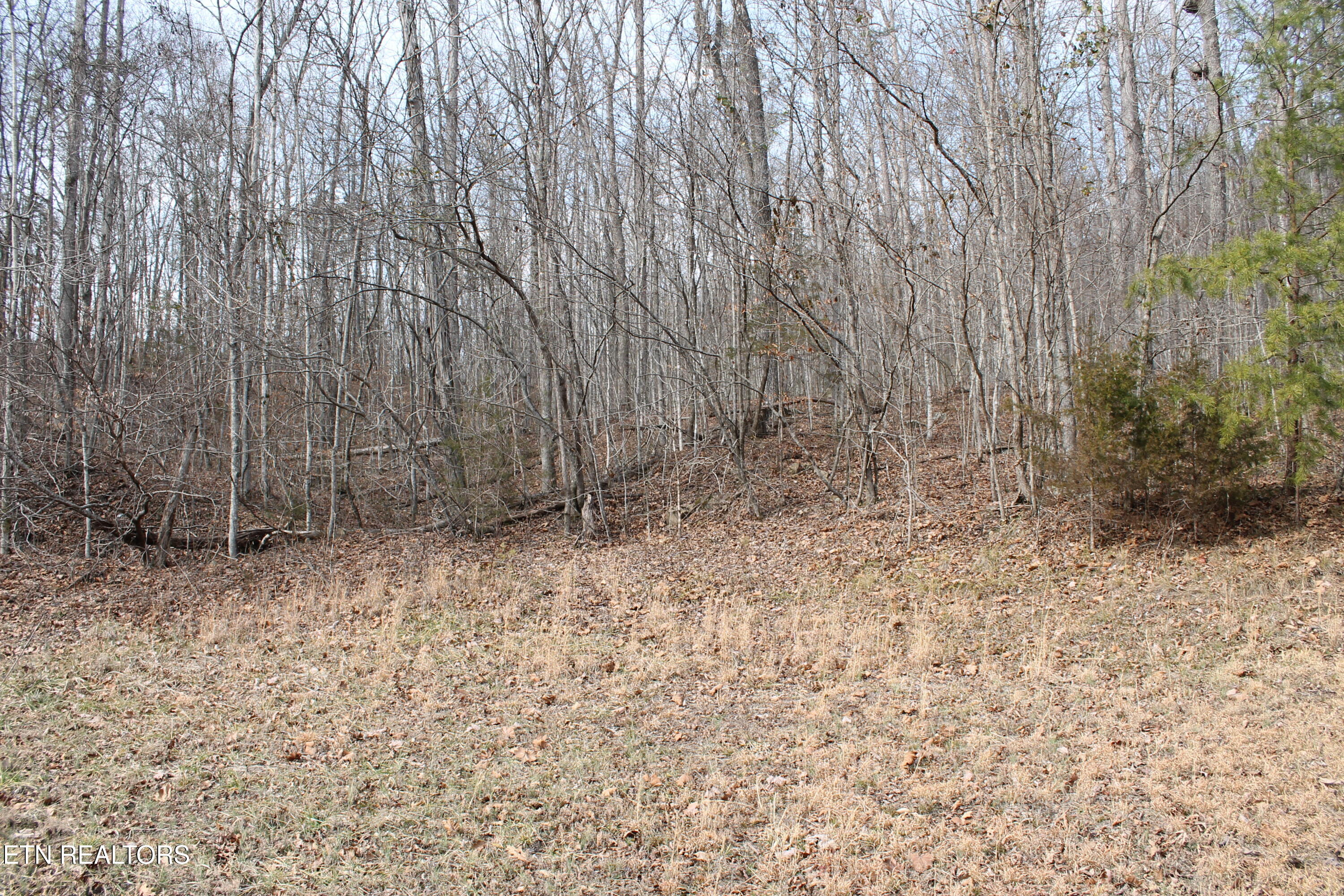 Cheynne Drive Jamestown TN 38556
