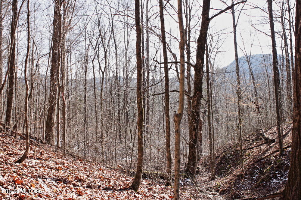 Cheynne Drive Jamestown TN 38556