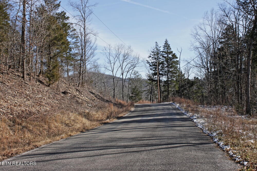 Cheynne Drive Jamestown TN 38556