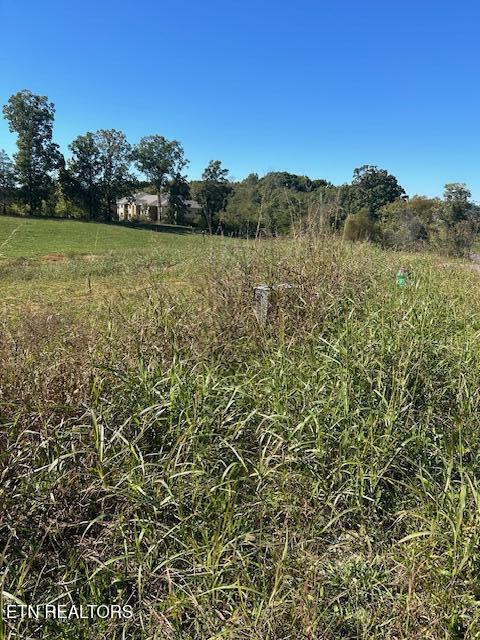 00 Green Street Madisonville TN 37354