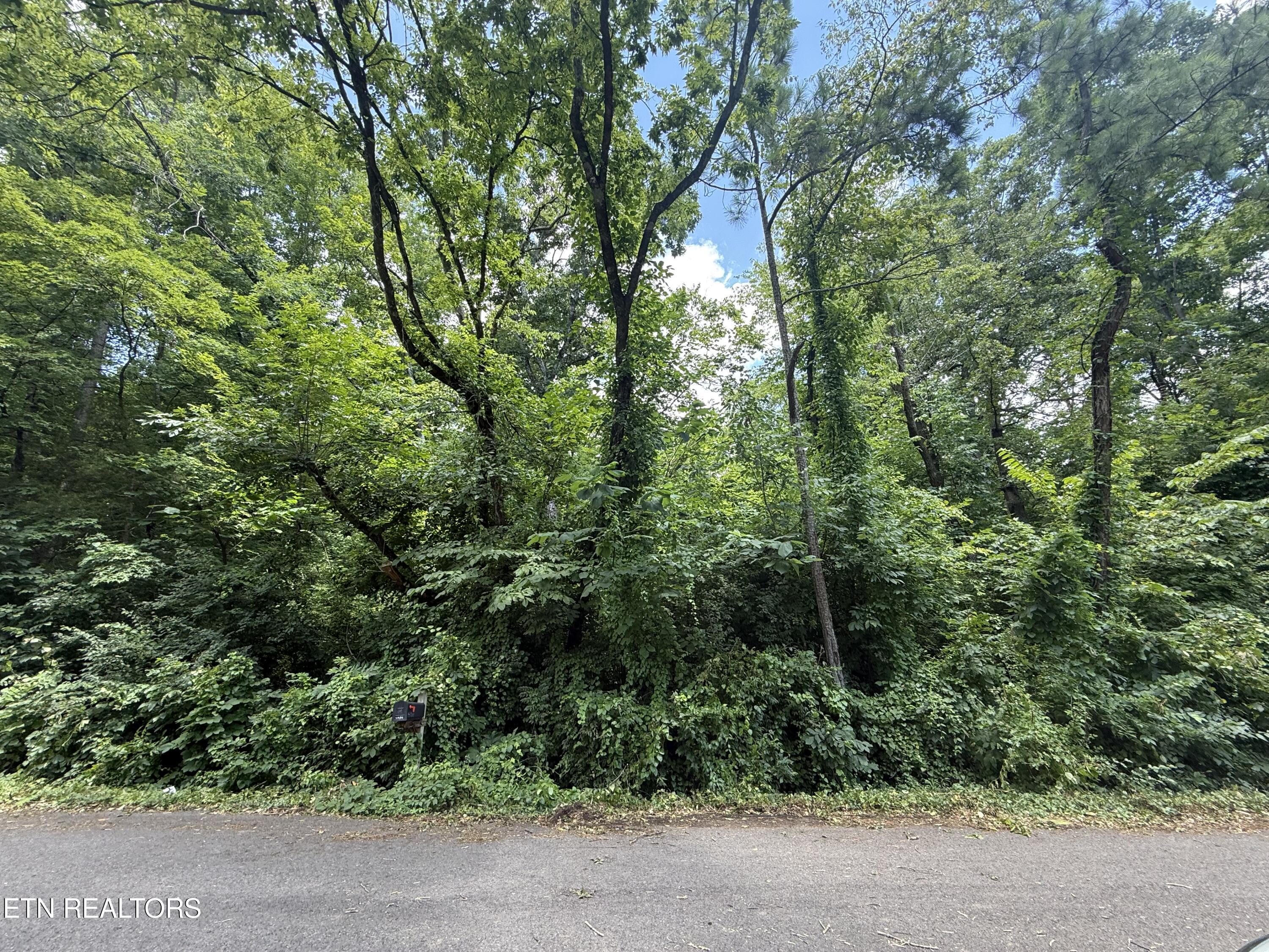 4907 Parva Drive Knoxville TN 37914