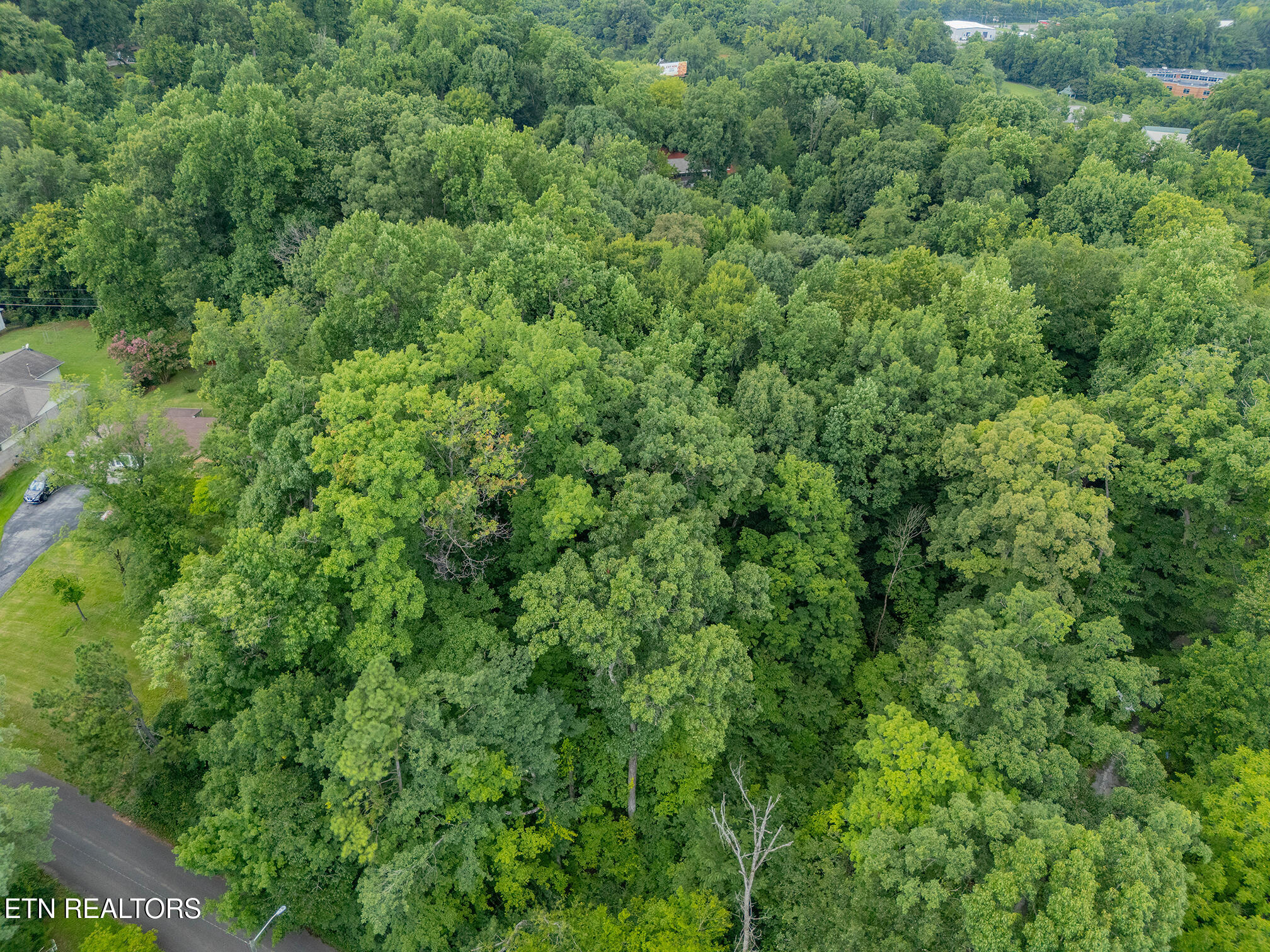 4907 Parva Drive Knoxville TN 37914
