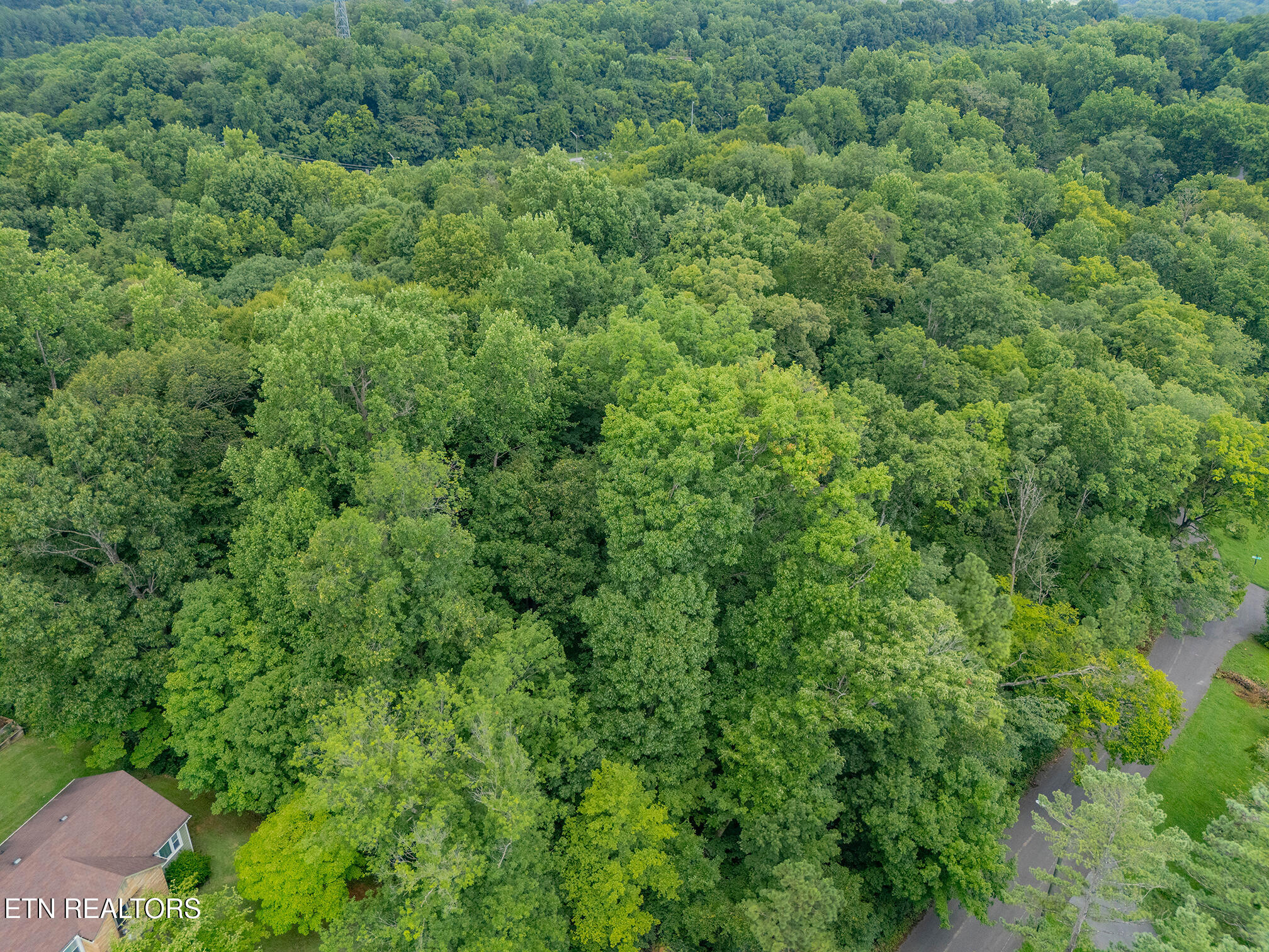 4907 Parva Drive Knoxville TN 37914